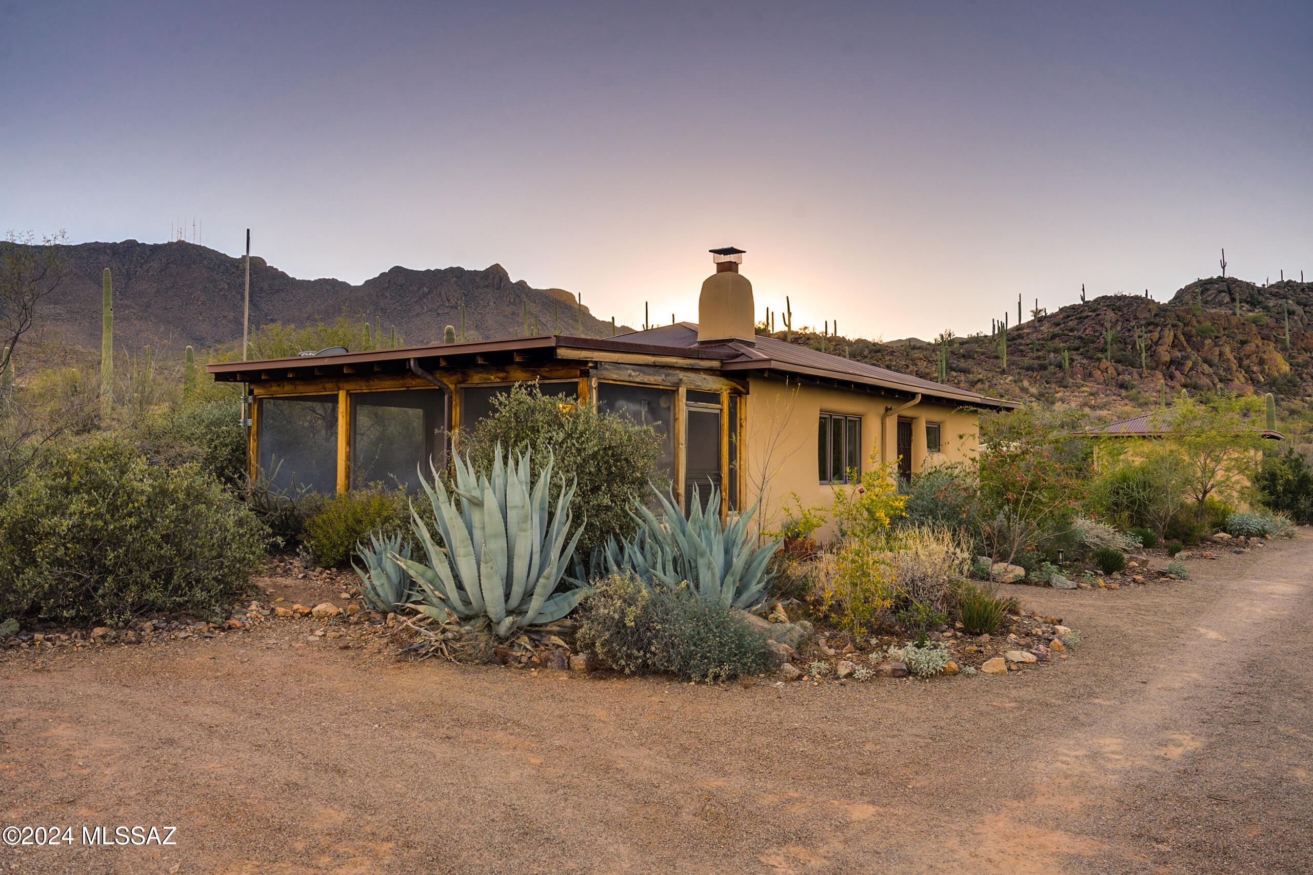 6510 W Banded Gecko Way