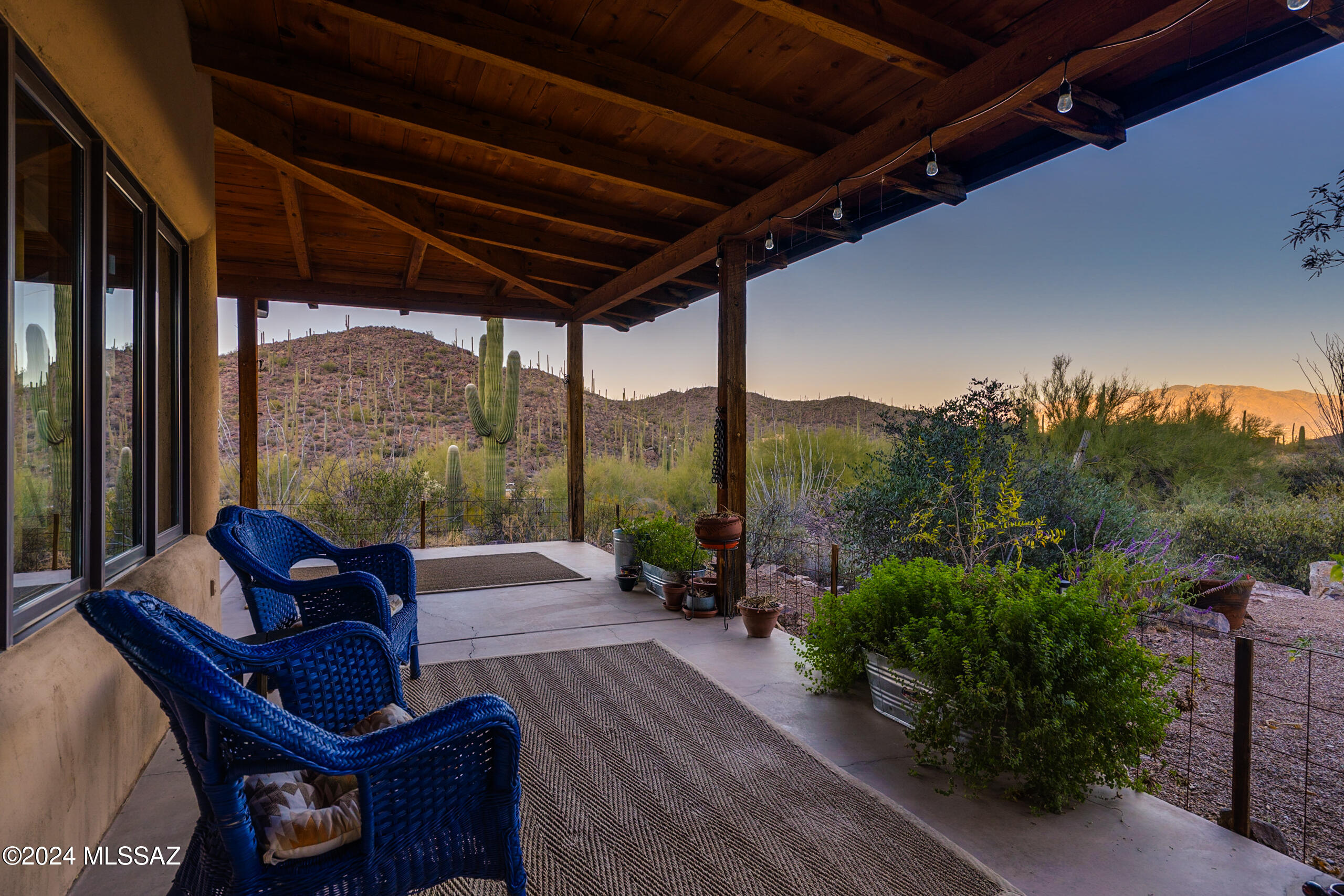 6510 W Banded Gecko Way