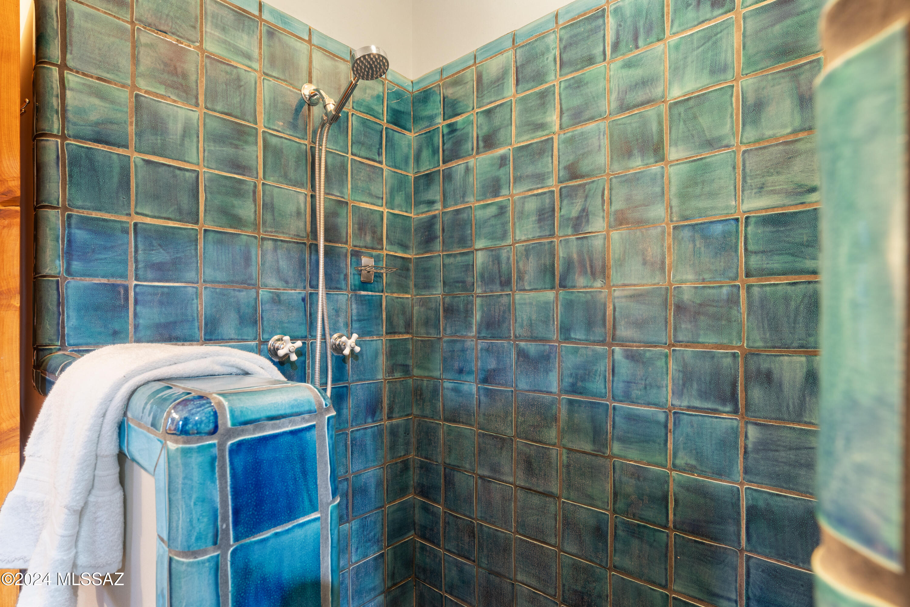 6510 W Banded Gecko Way