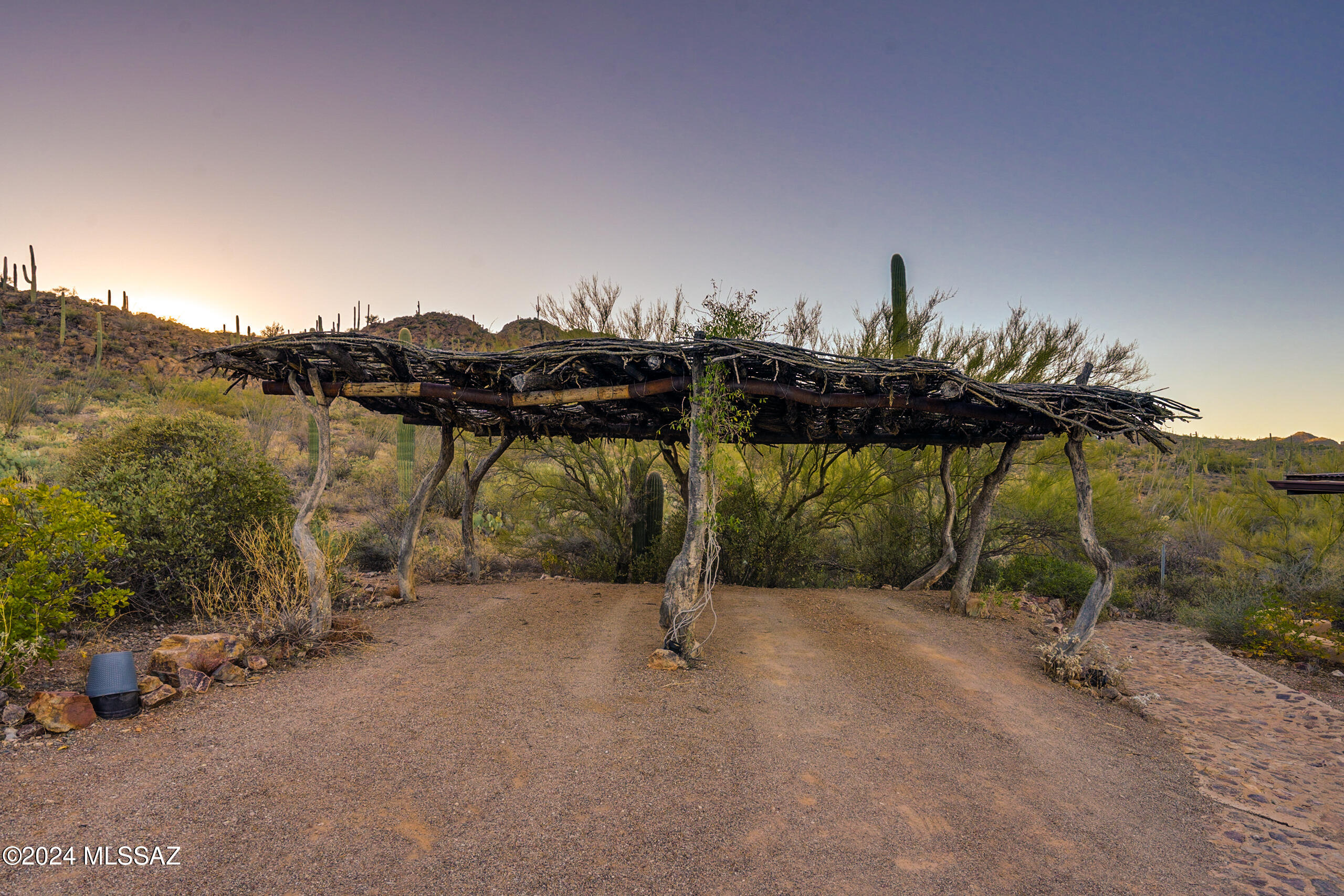 6510 W Banded Gecko Way