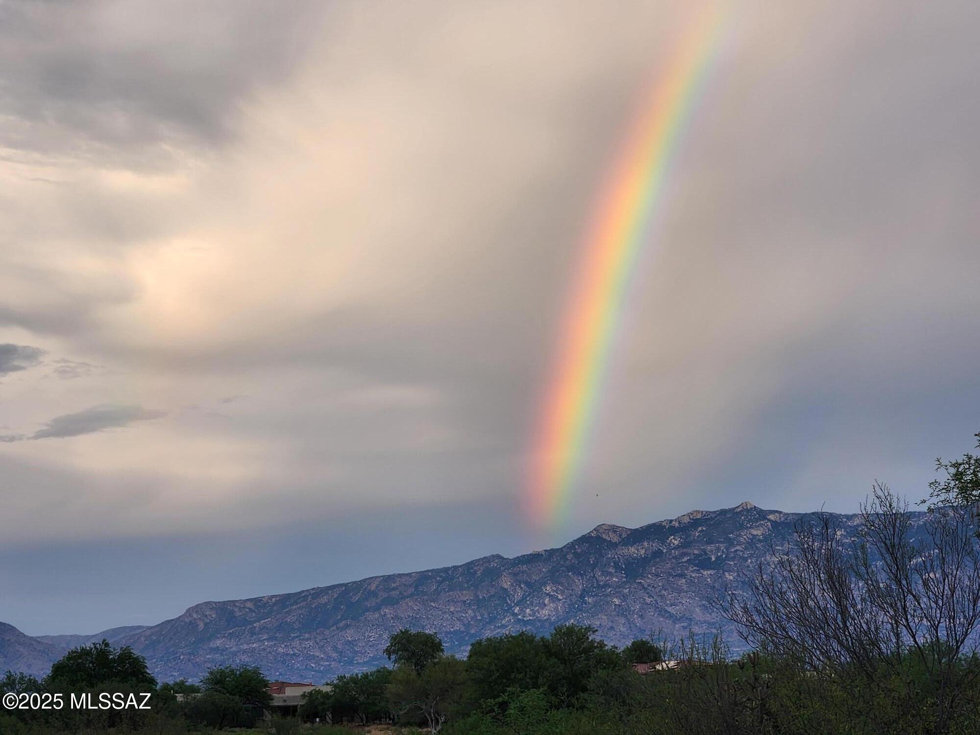 13084 N Toucan Drive