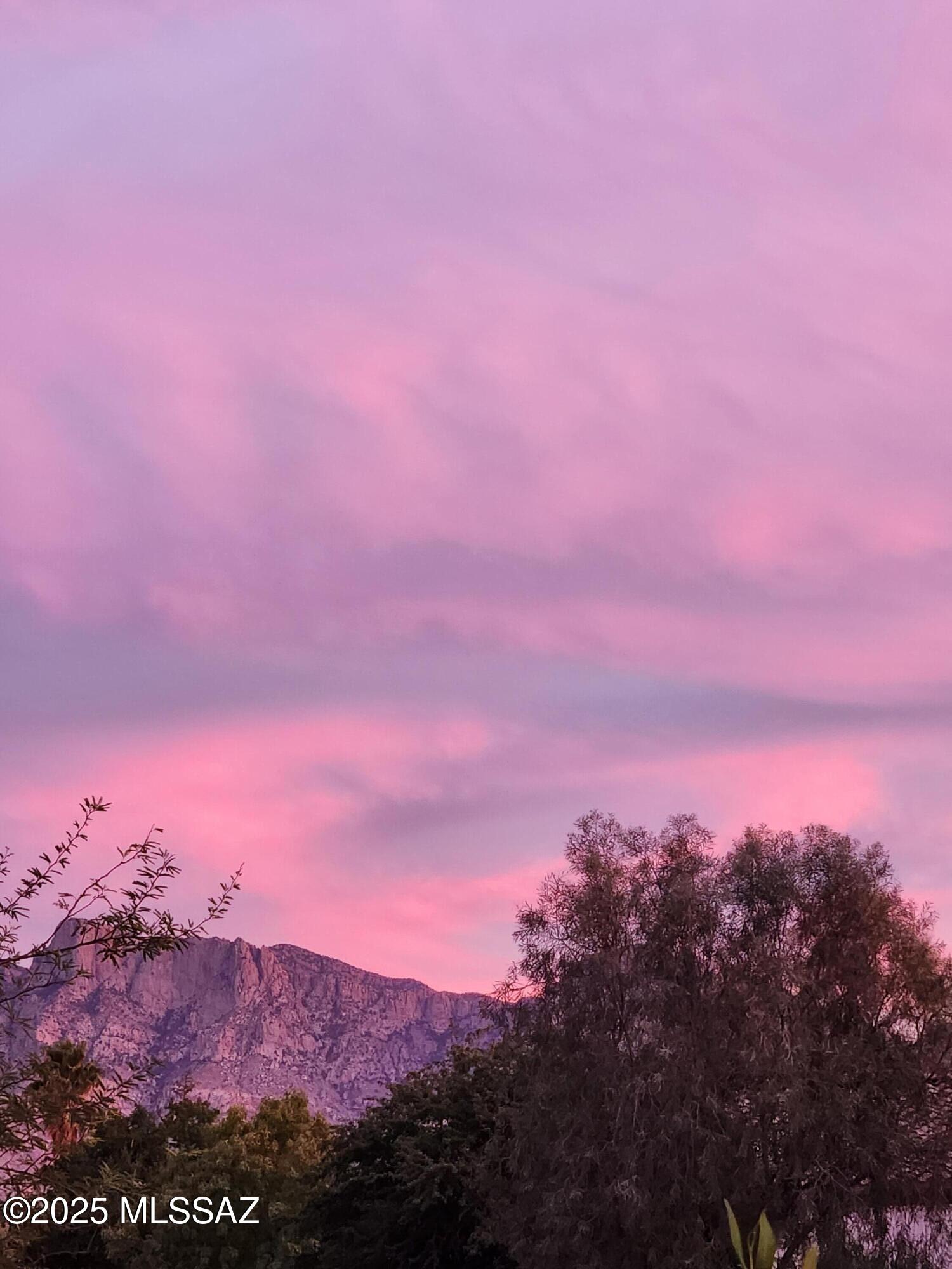 13084 N Toucan Drive