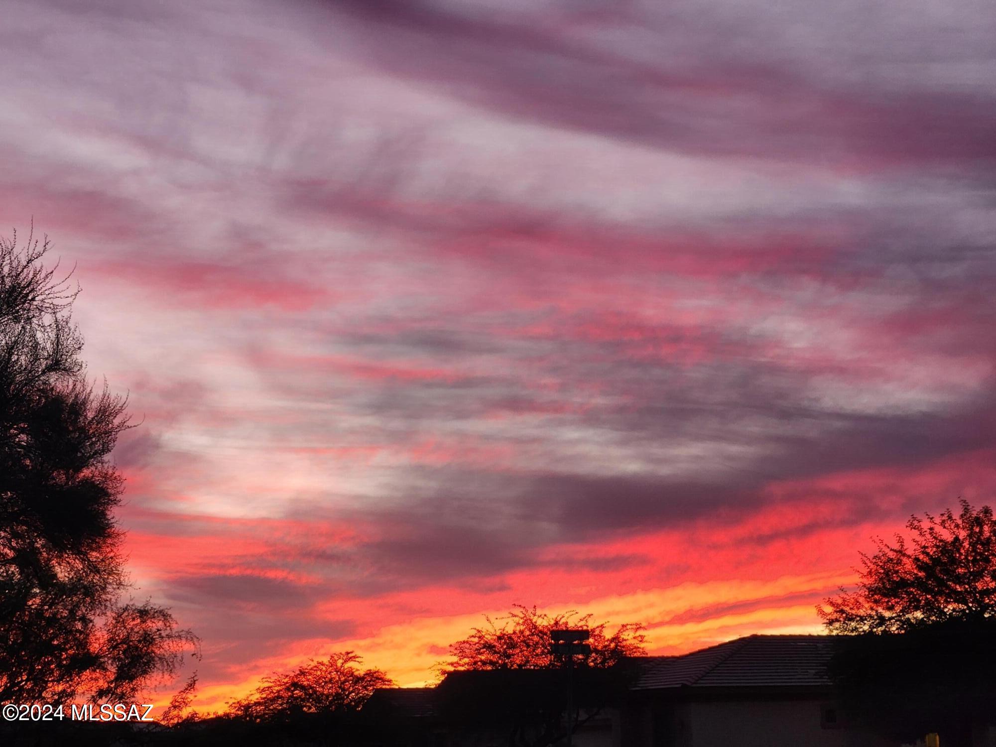 13084 N Toucan Drive