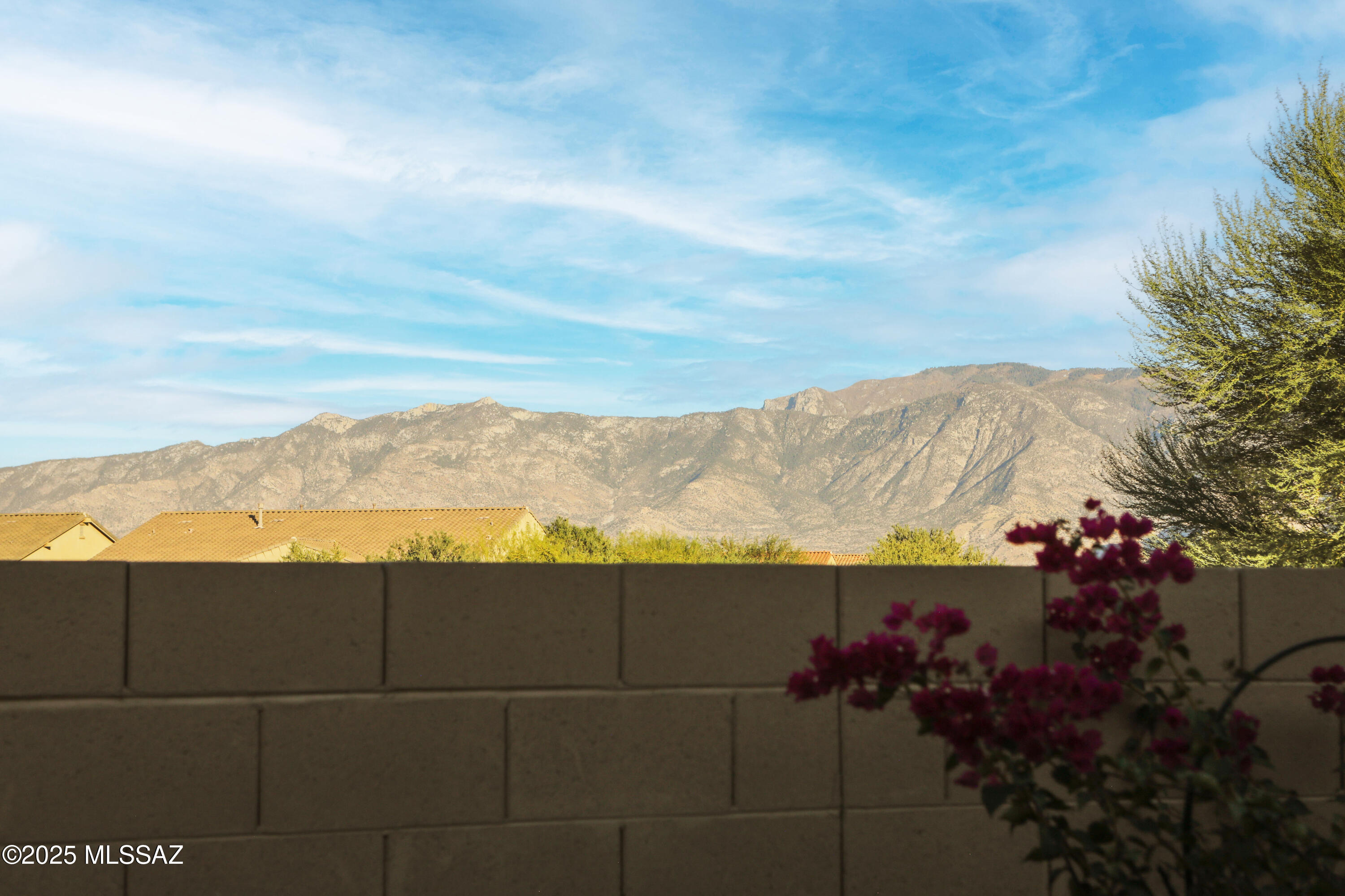 13446 N Flaxleaf Place