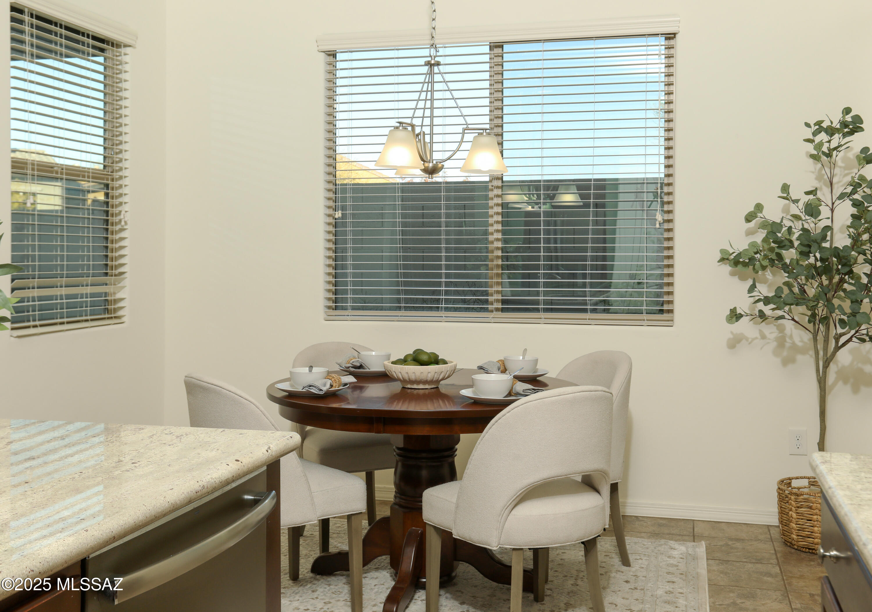 13446 N Flaxleaf Place