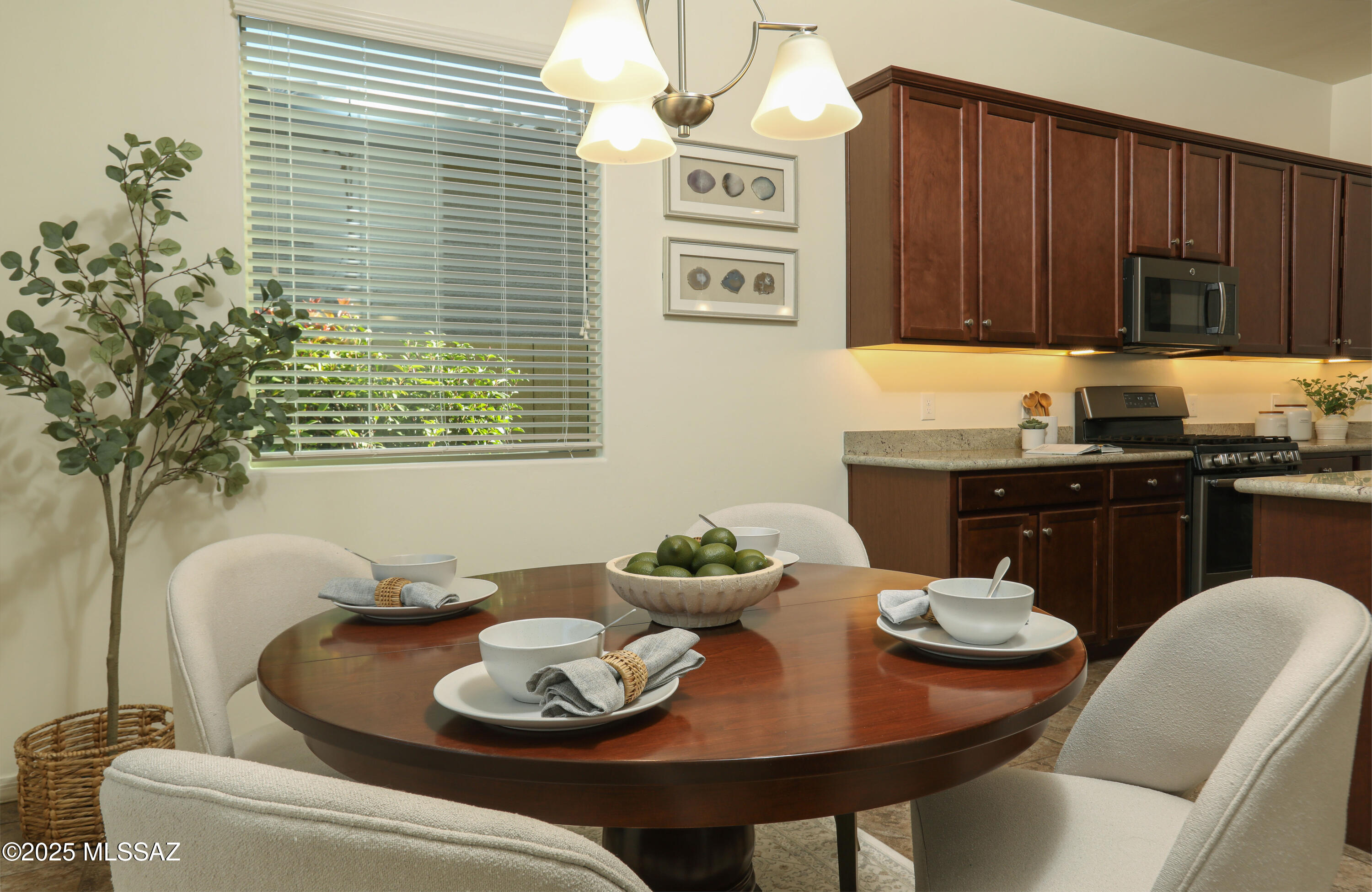 13446 N Flaxleaf Place