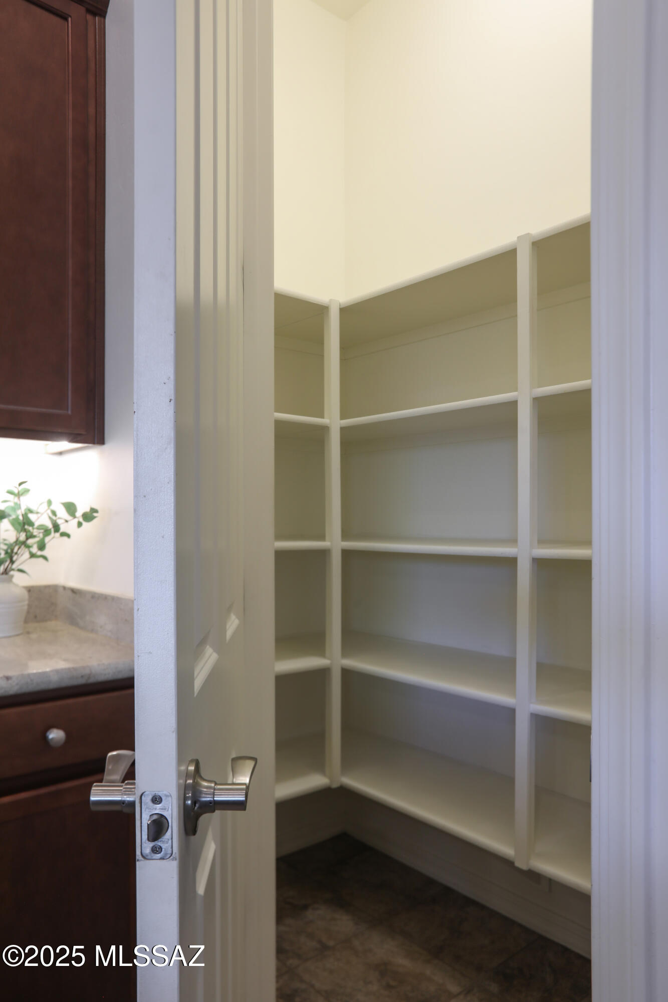 13446 N Flaxleaf Place