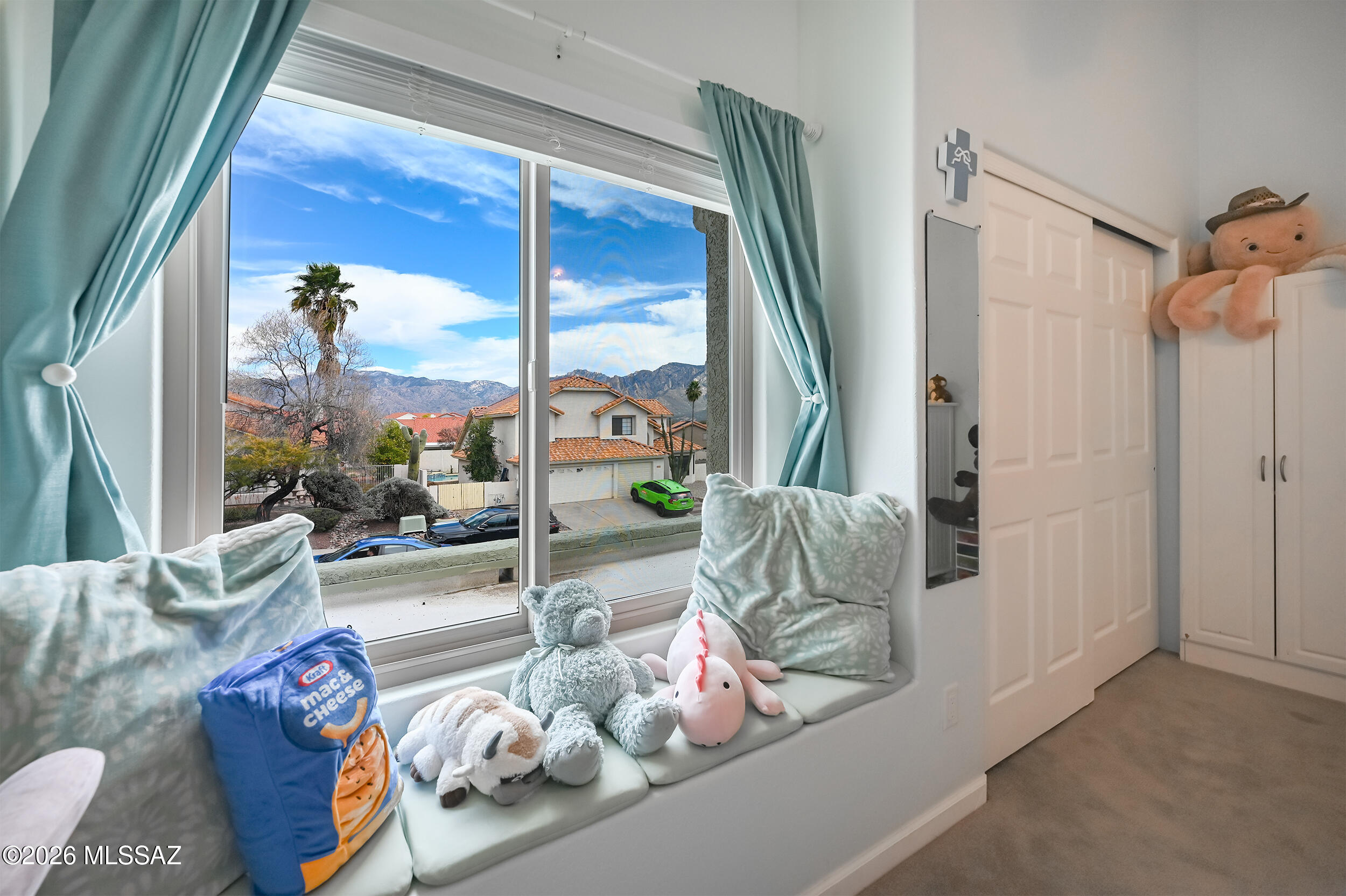 11781 N Dragoon Springs Drive