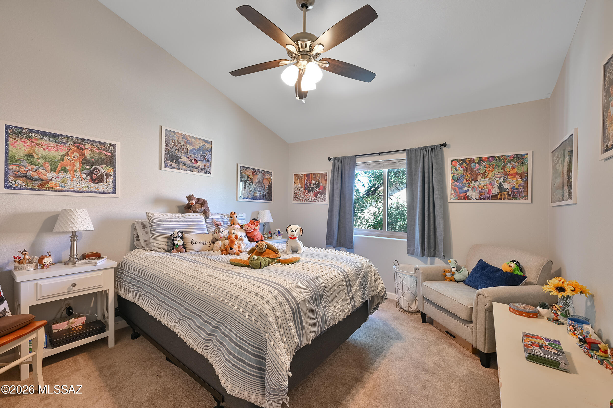 11781 N Dragoon Springs Drive