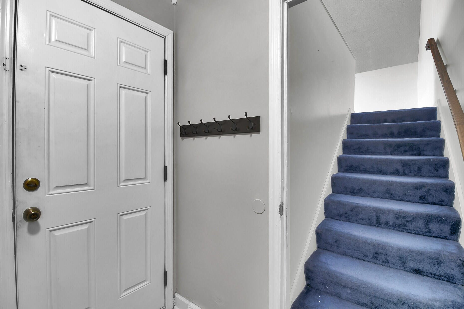 1205 Scotch Pine Lane