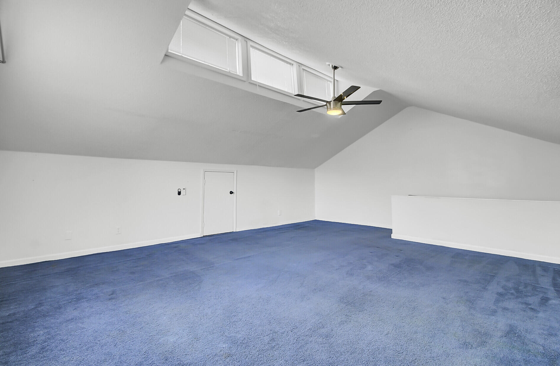 1205 Scotch Pine Lane