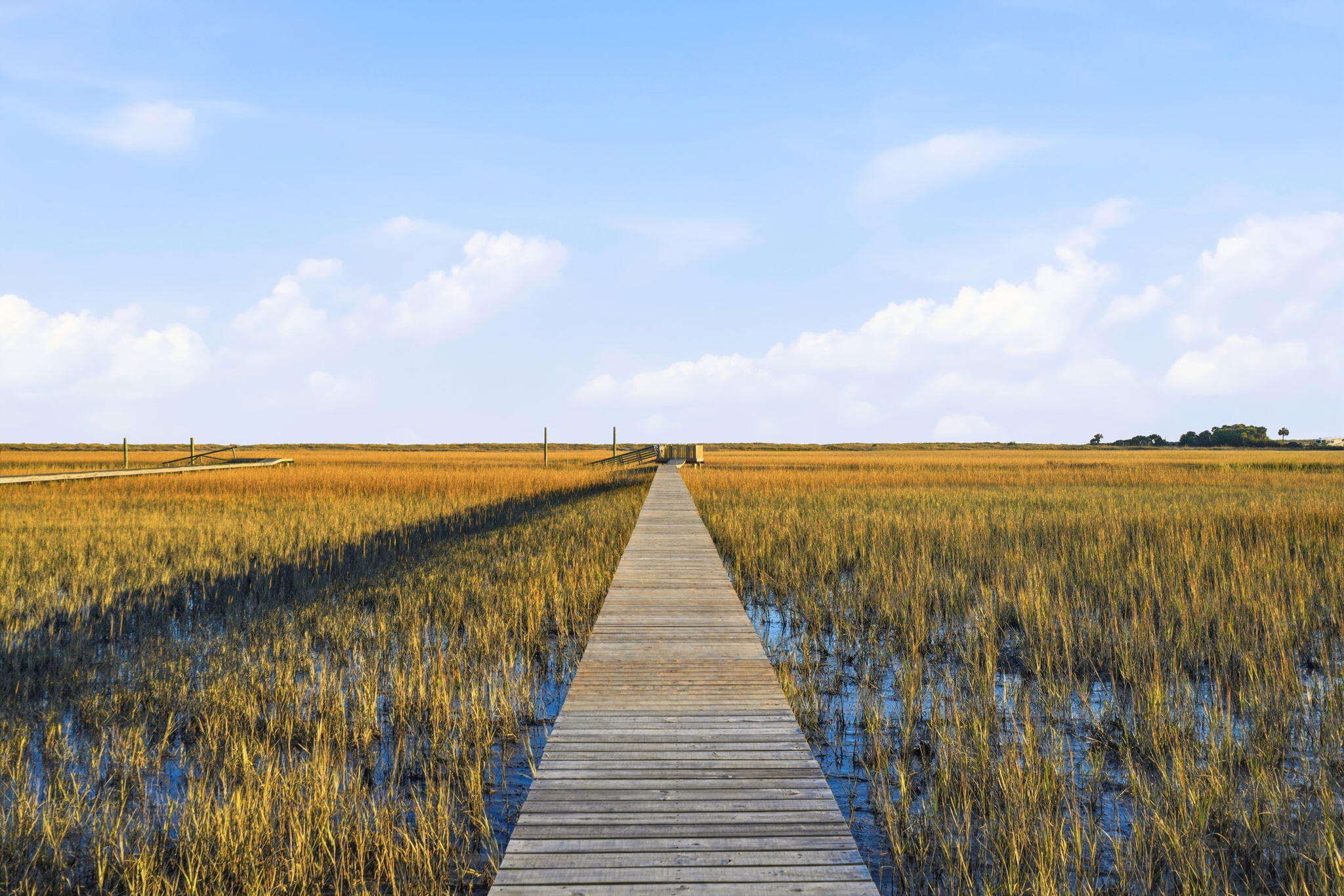 162 Tranquility Lane