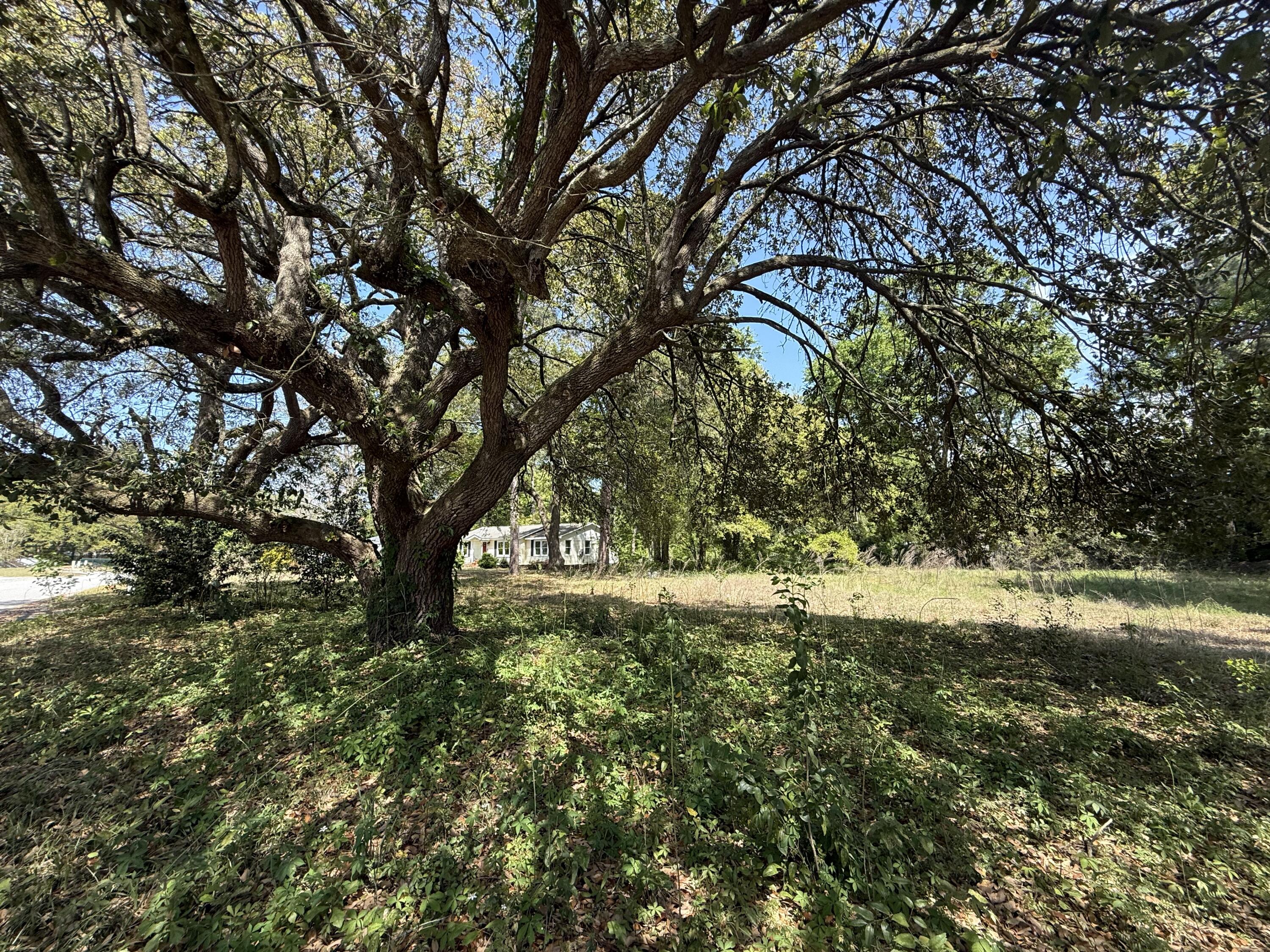 904 Hildebrand Drive