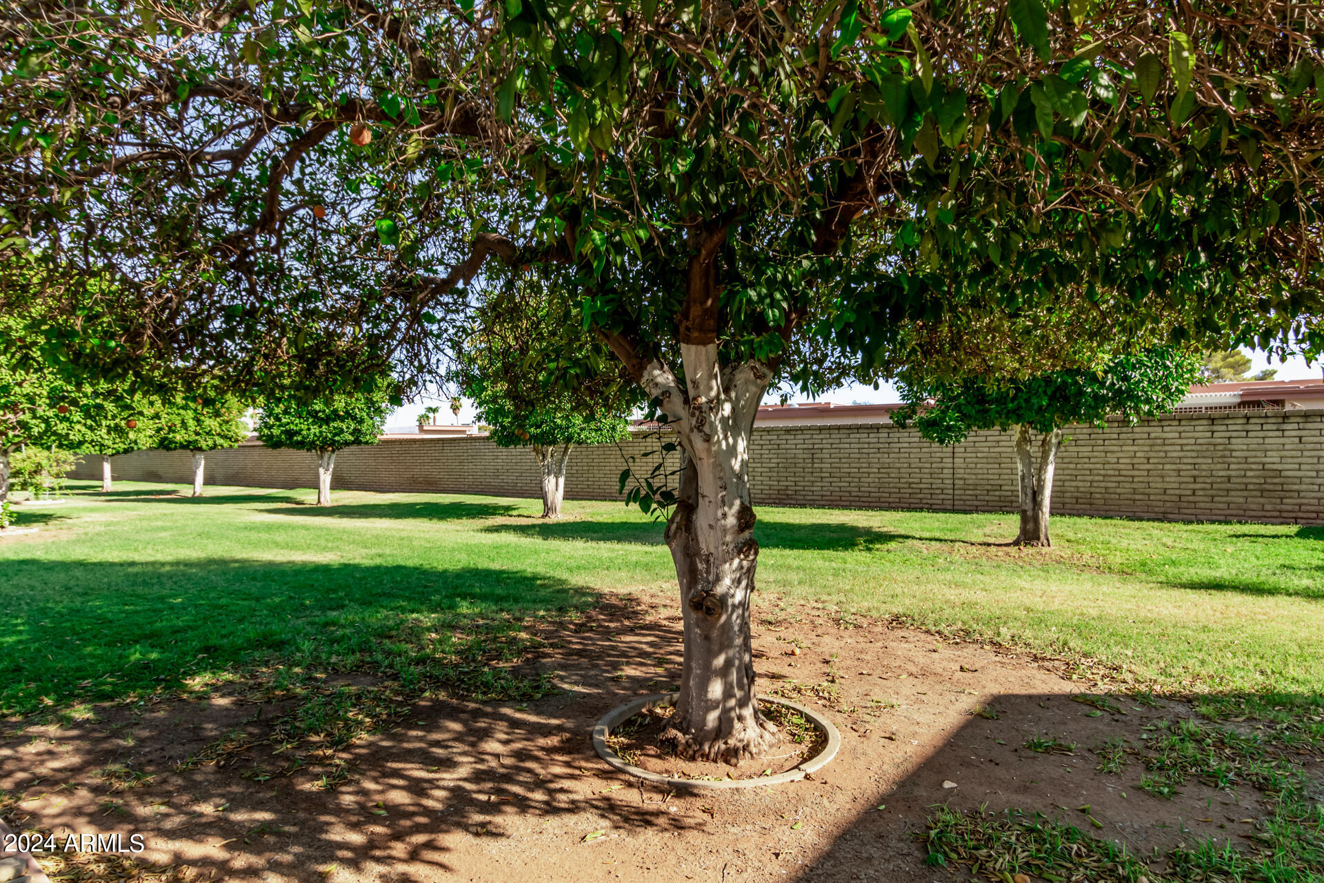 10823 W CAMEO Drive