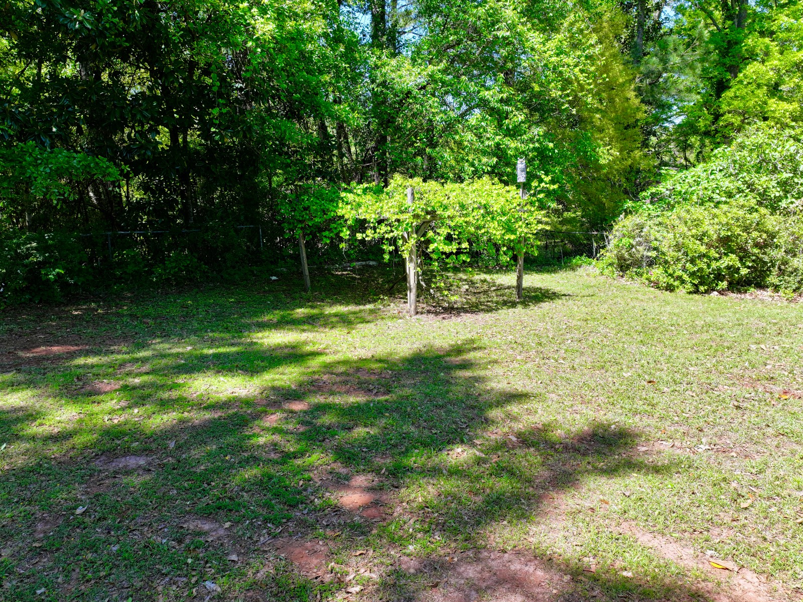 1351 Meadowbrook Lane