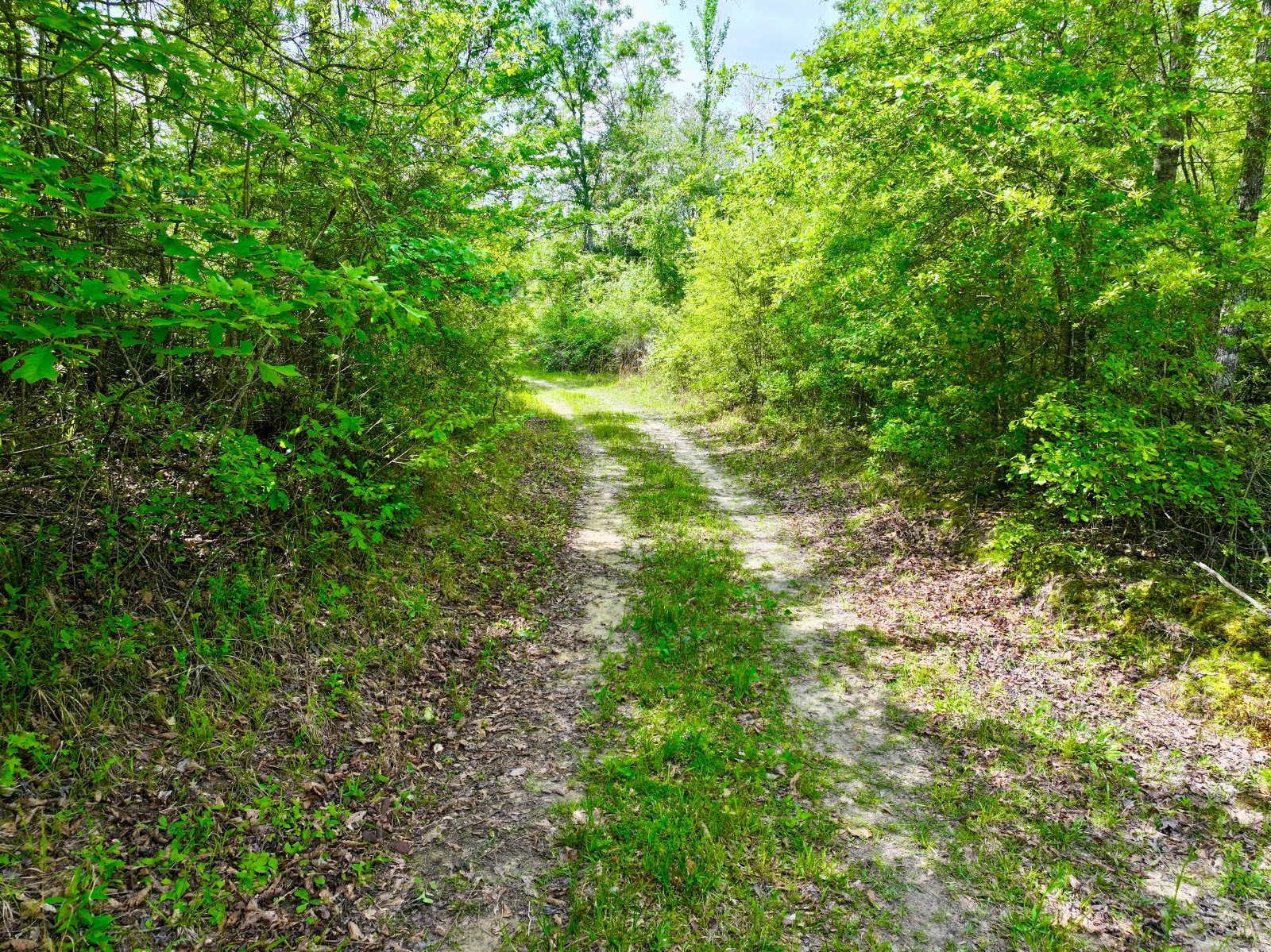 526 Bueg Warren Road