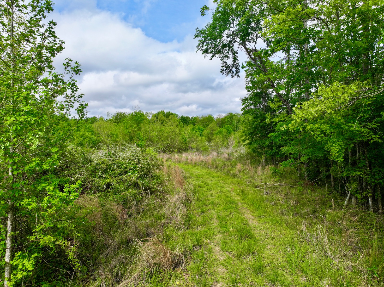 526 Bueg Warren Road