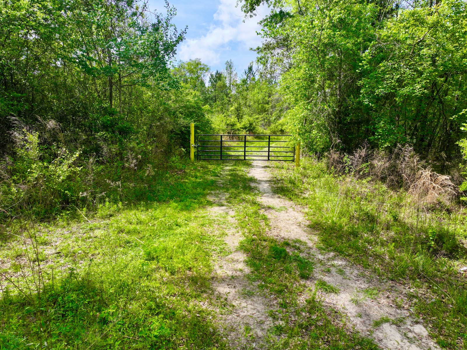 526 Bueg Warren Road