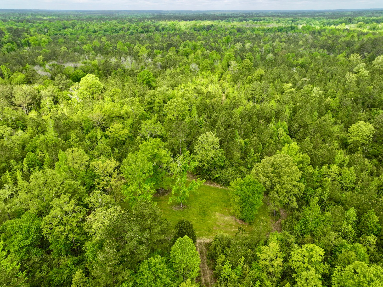 526 Bueg Warren Road