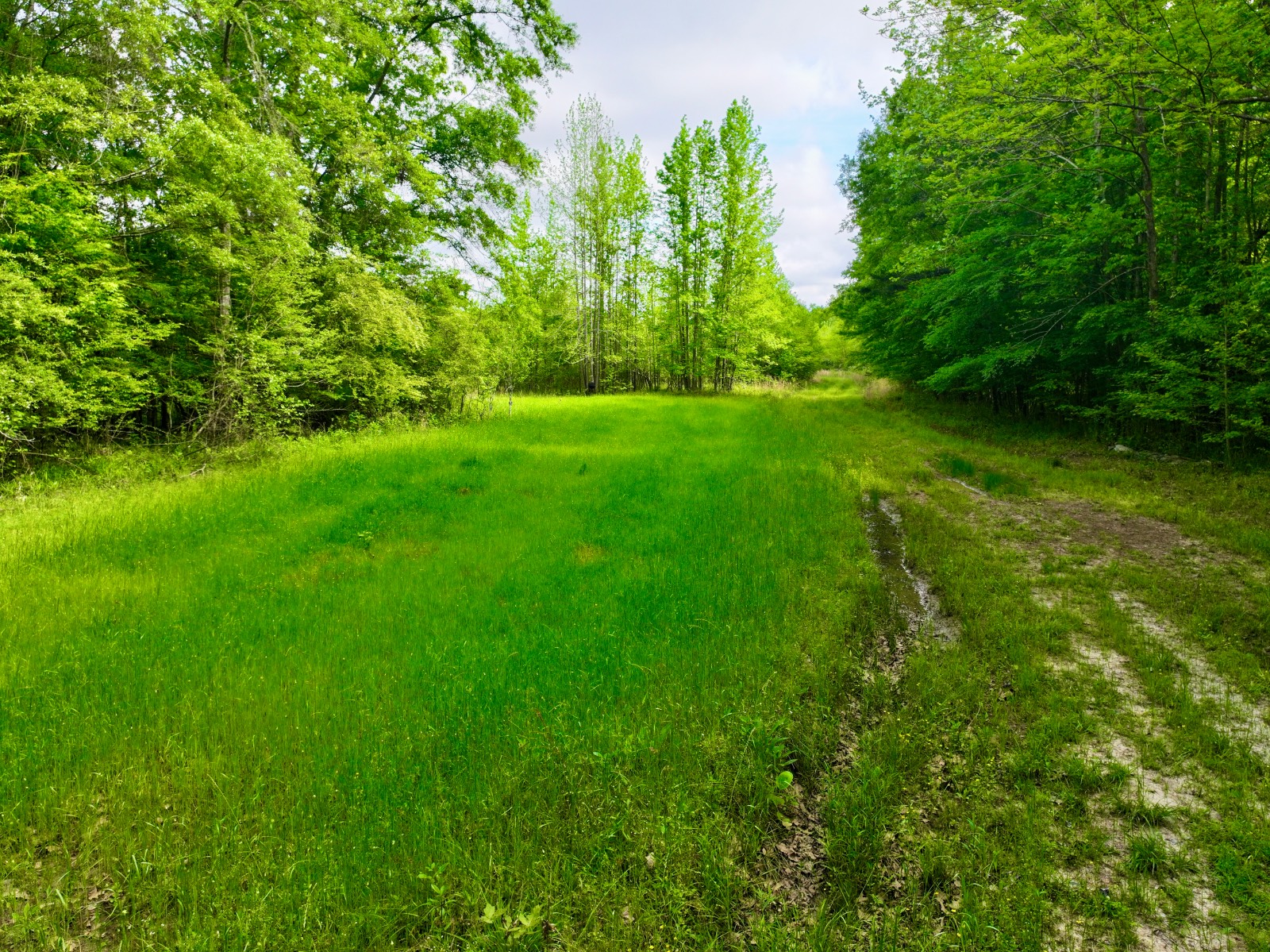 526 Bueg Warren Road