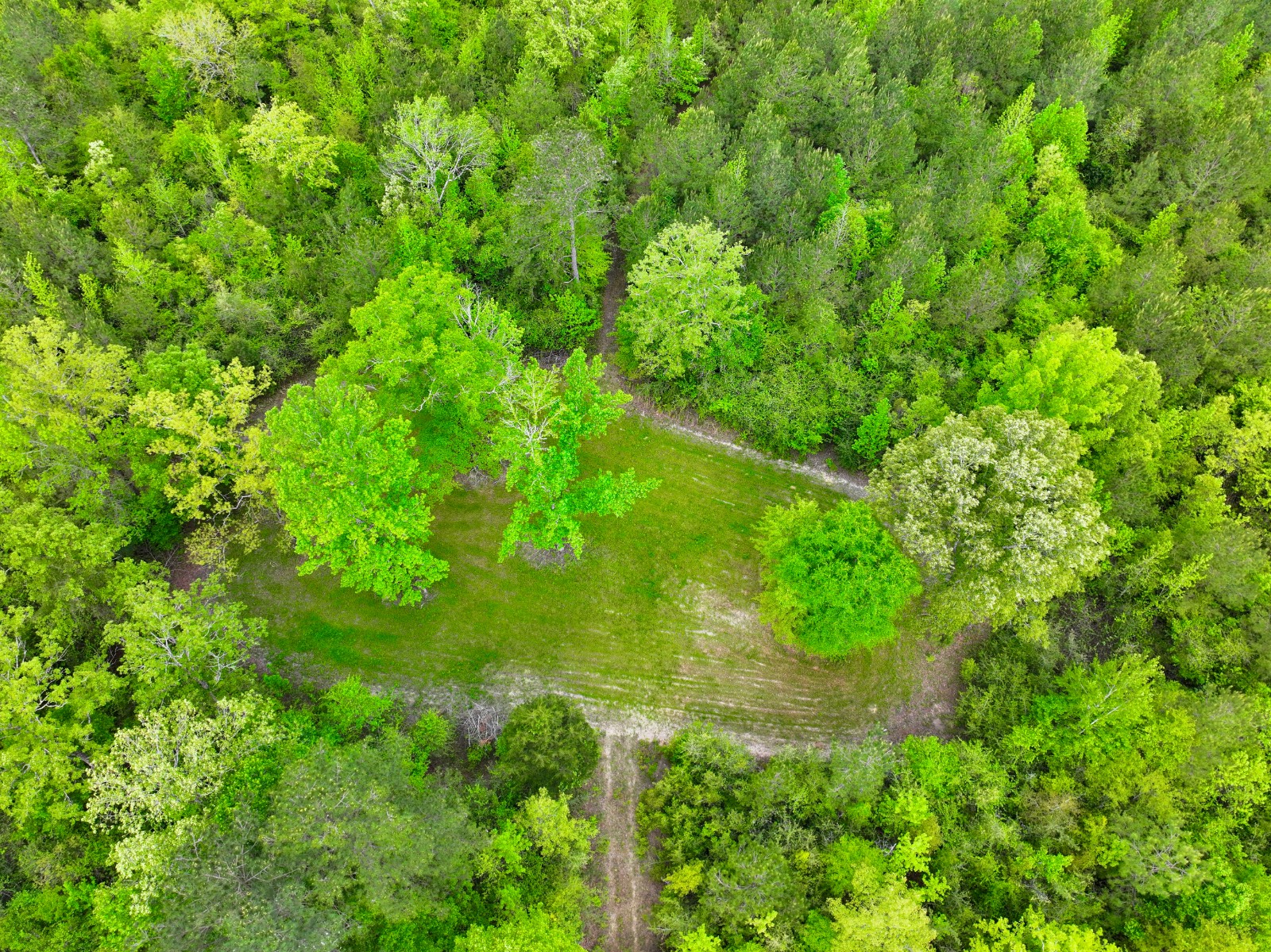 526 Bueg Warren Road