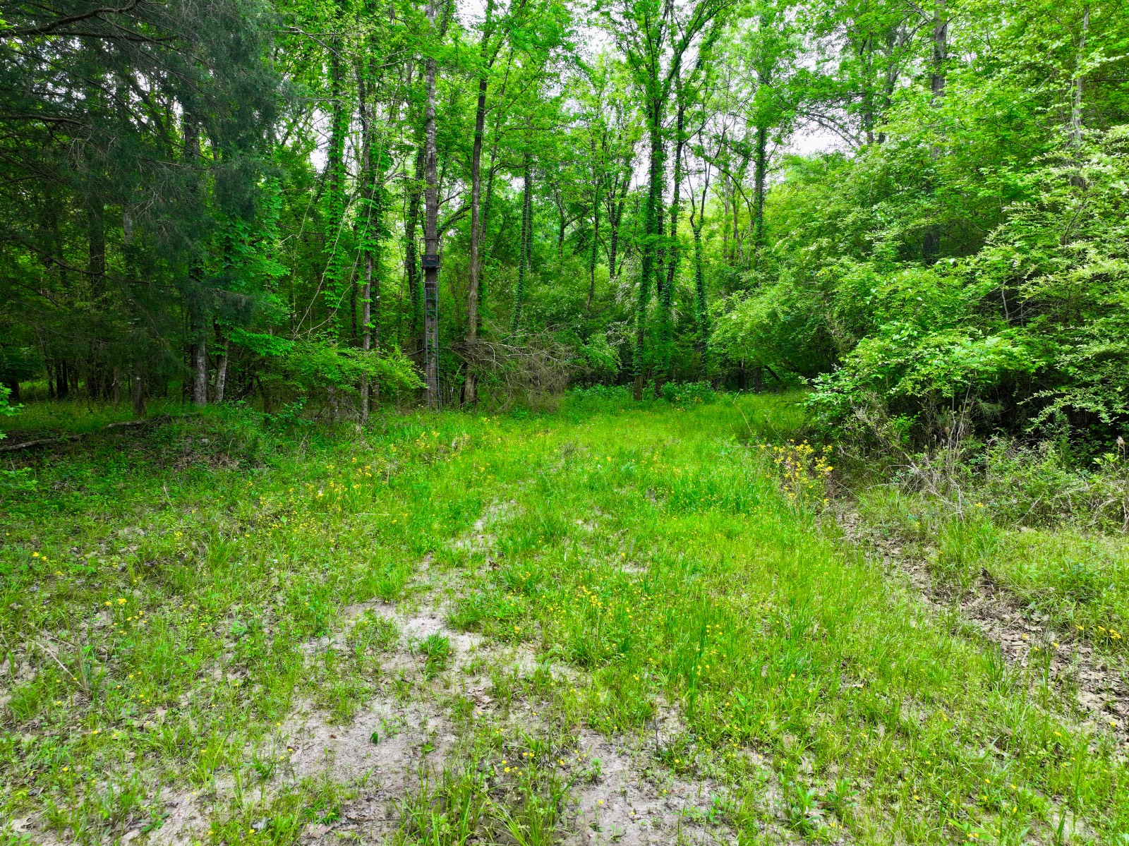 526 Bueg Warren Road
