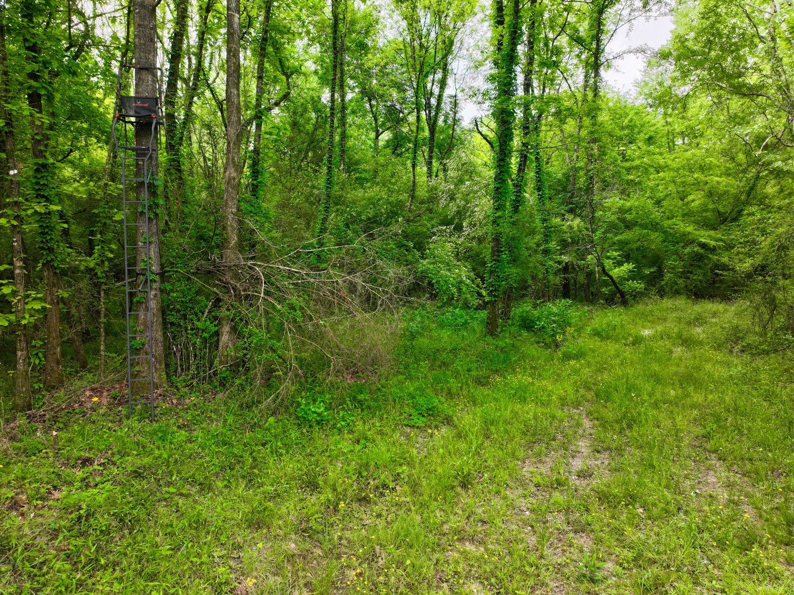 526 Bueg Warren Road