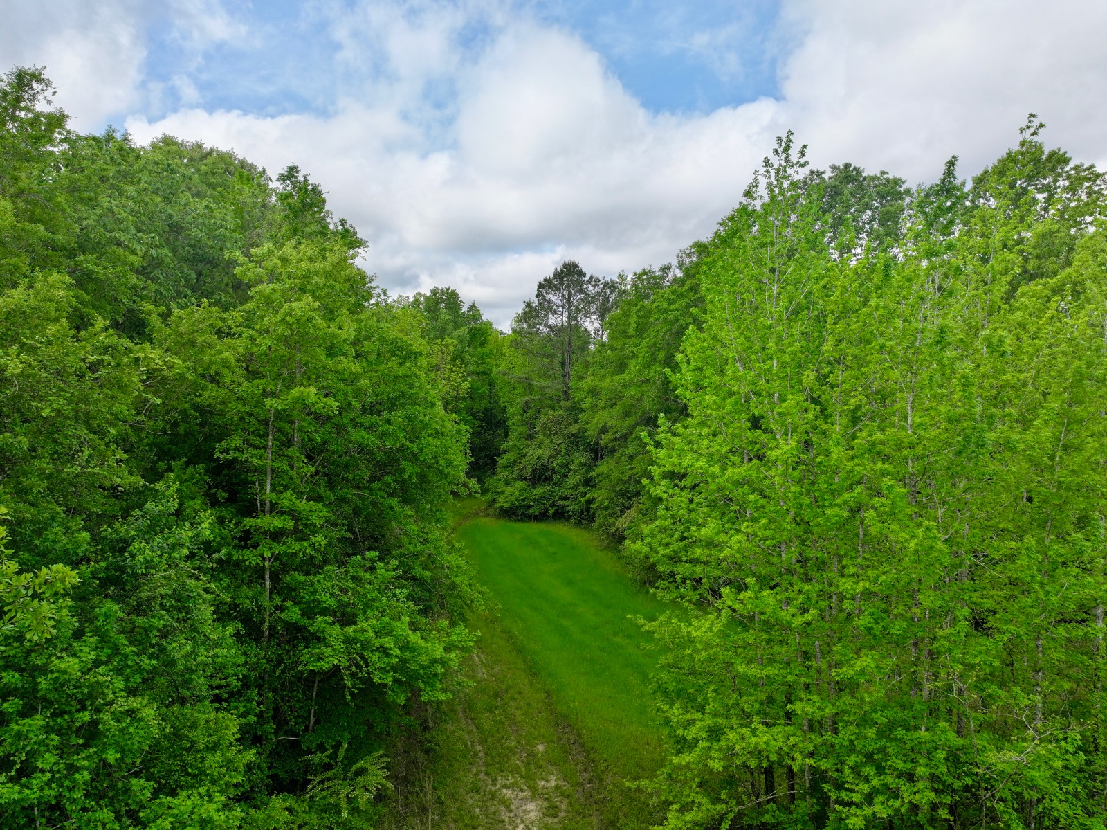 526 Bueg Warren Road