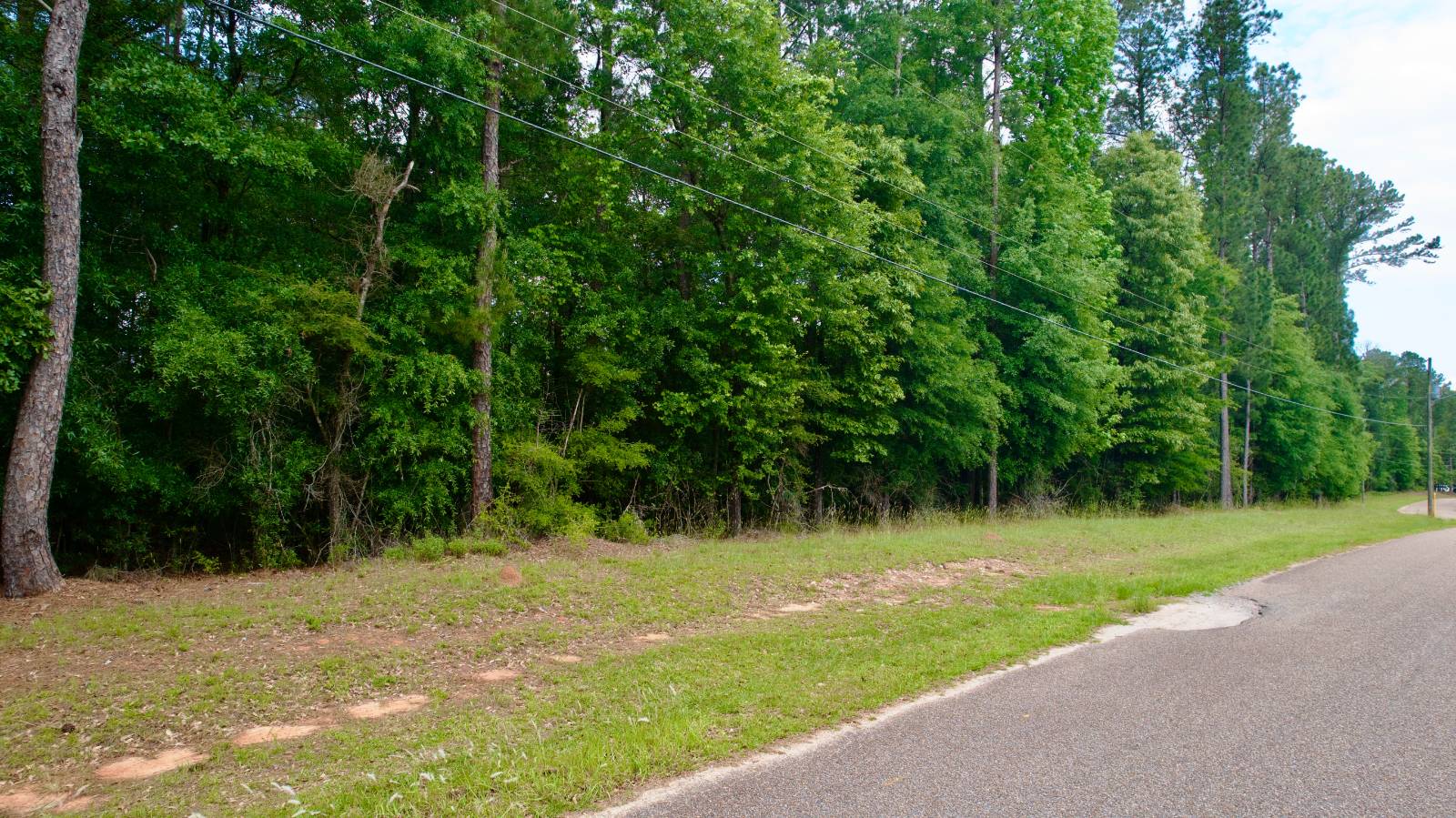 1141 Whitehead Lane