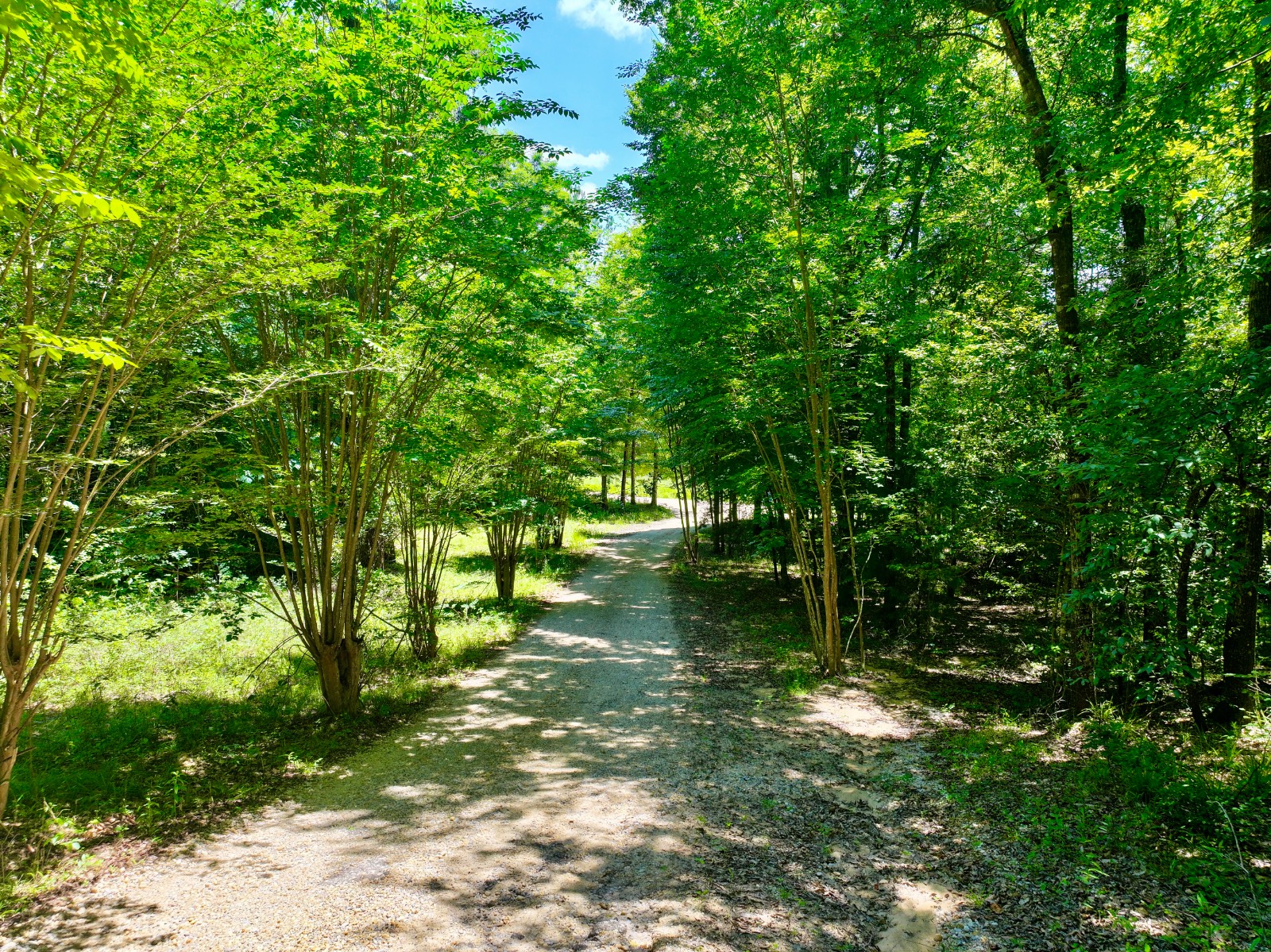 350 Hoven Springs Road