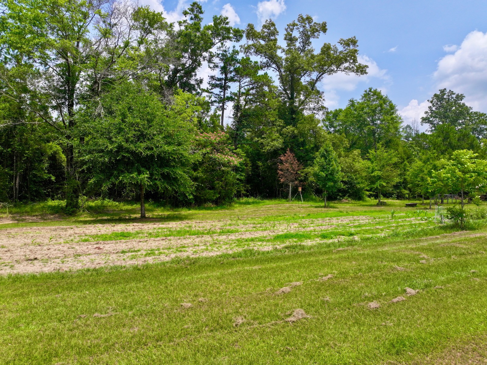 421 Lavender Road