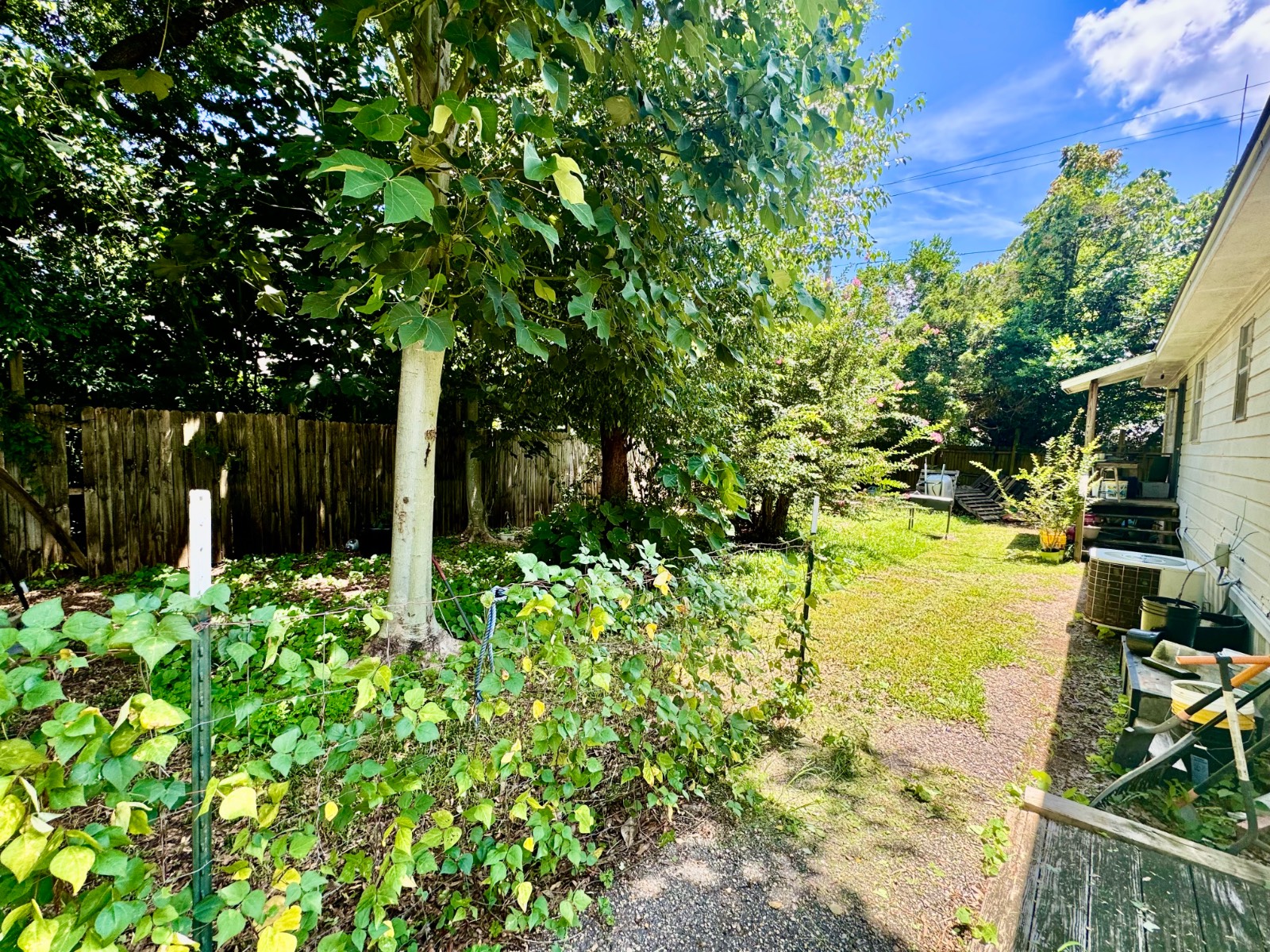 1004 Forest Ave