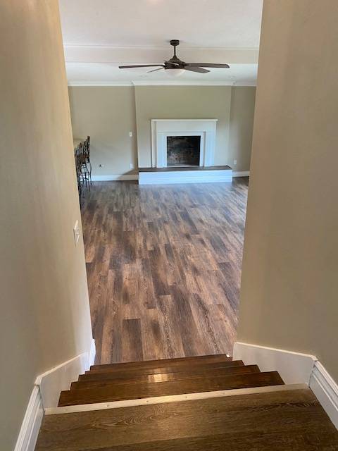 223 Beech Drive