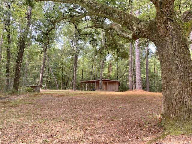 223 Beech Drive