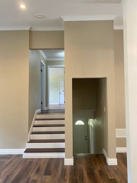 223 Beech Drive