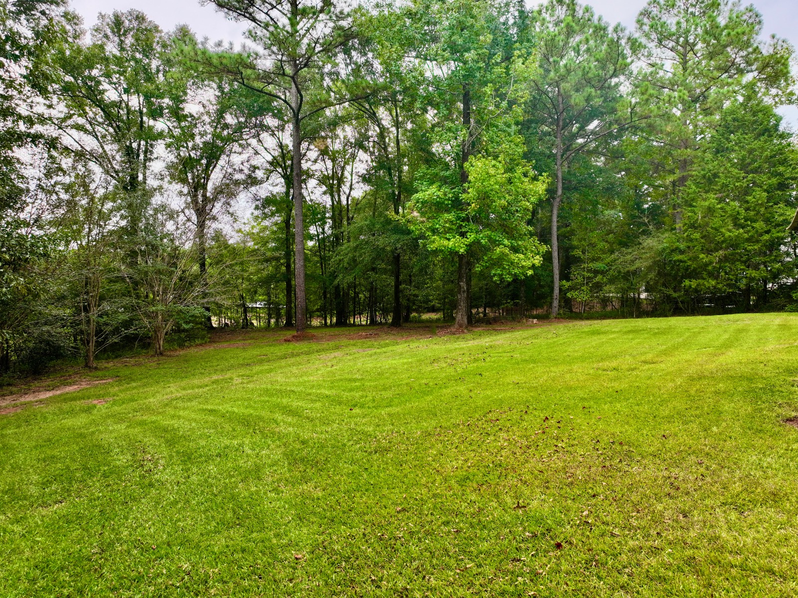 357 Whitehead Lane