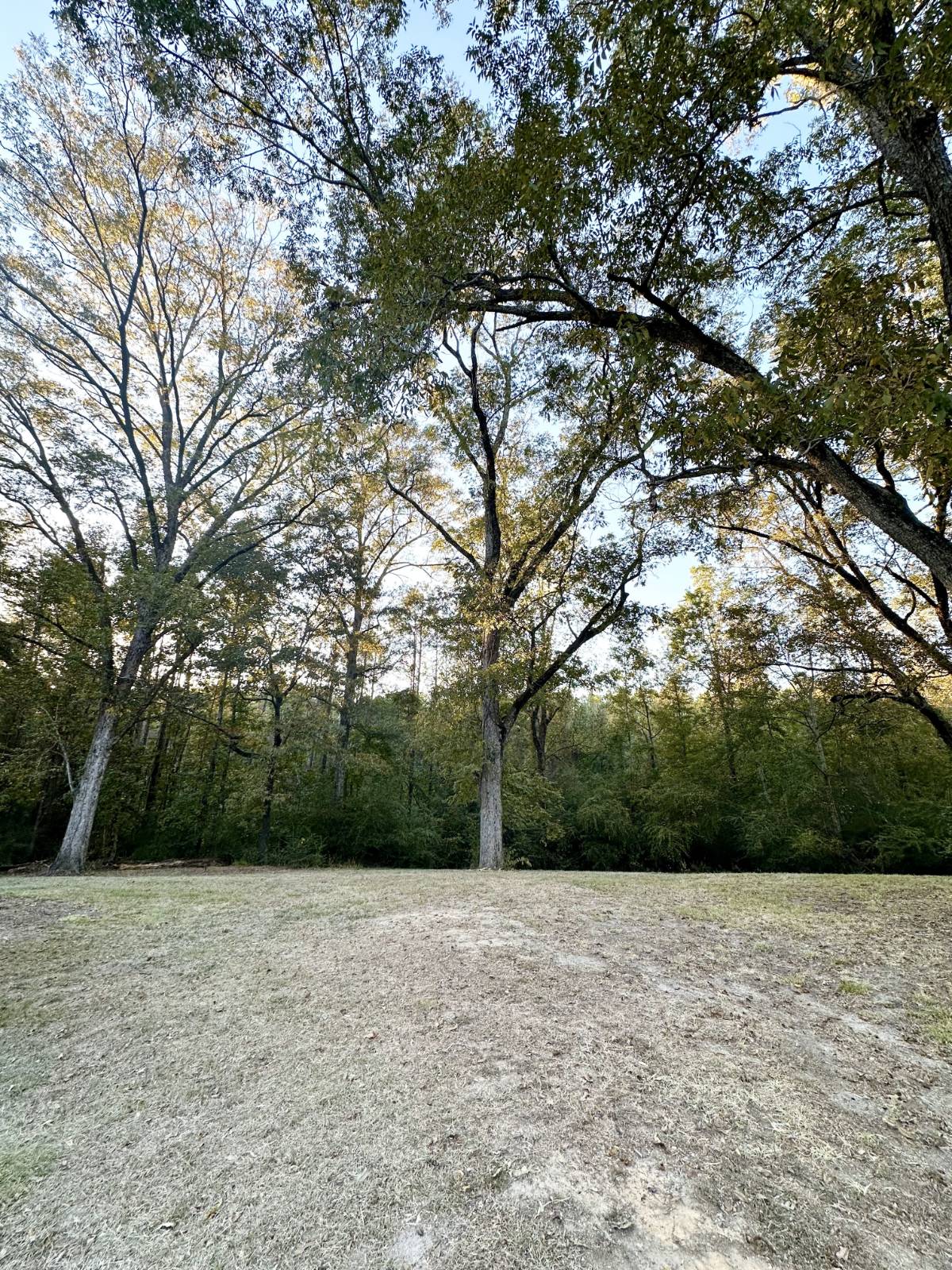 2626 Sandflat Road