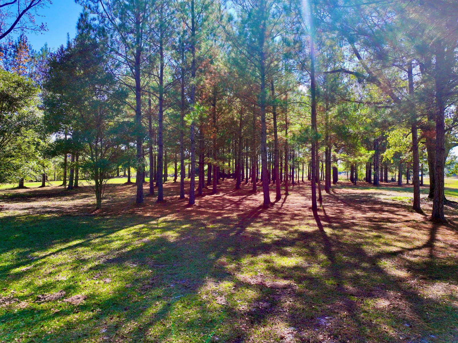 14179 Highway 154