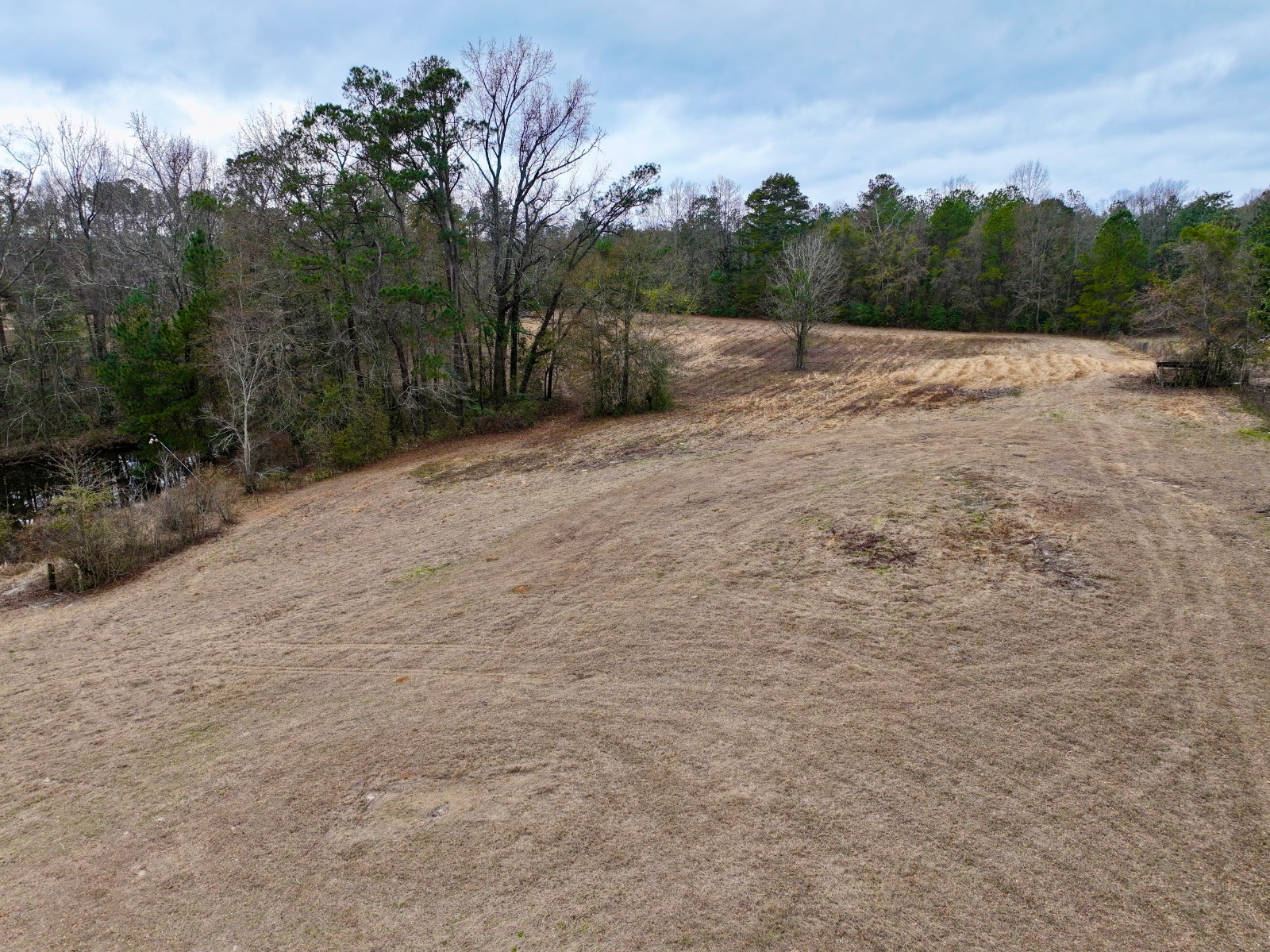 7810 Highway 154