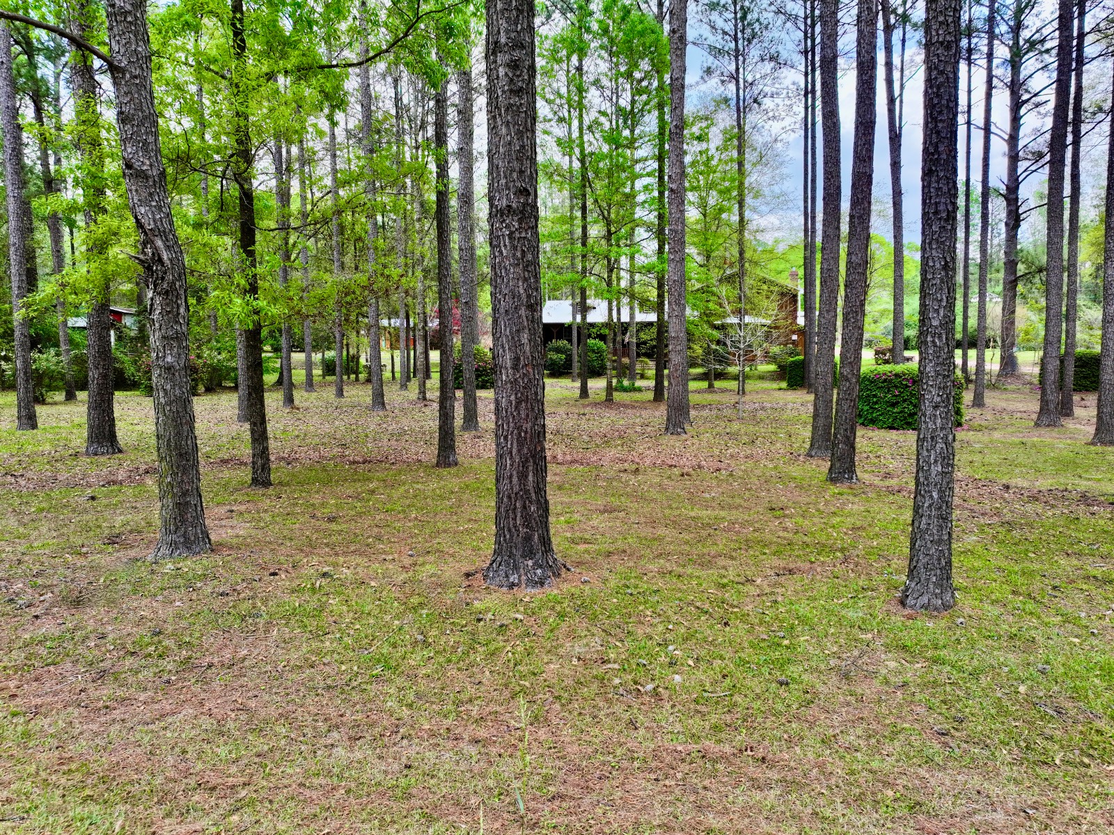 6087 Walker Springs Road