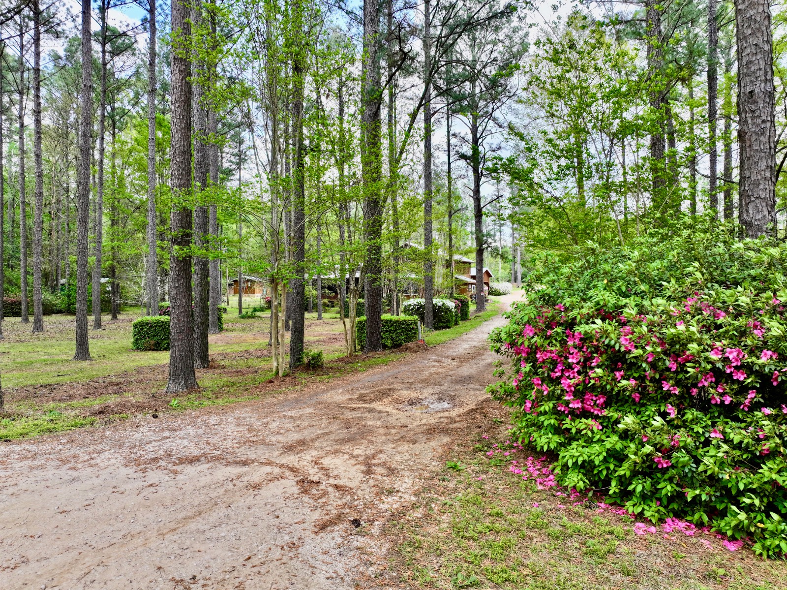 6087 Walker Springs Road