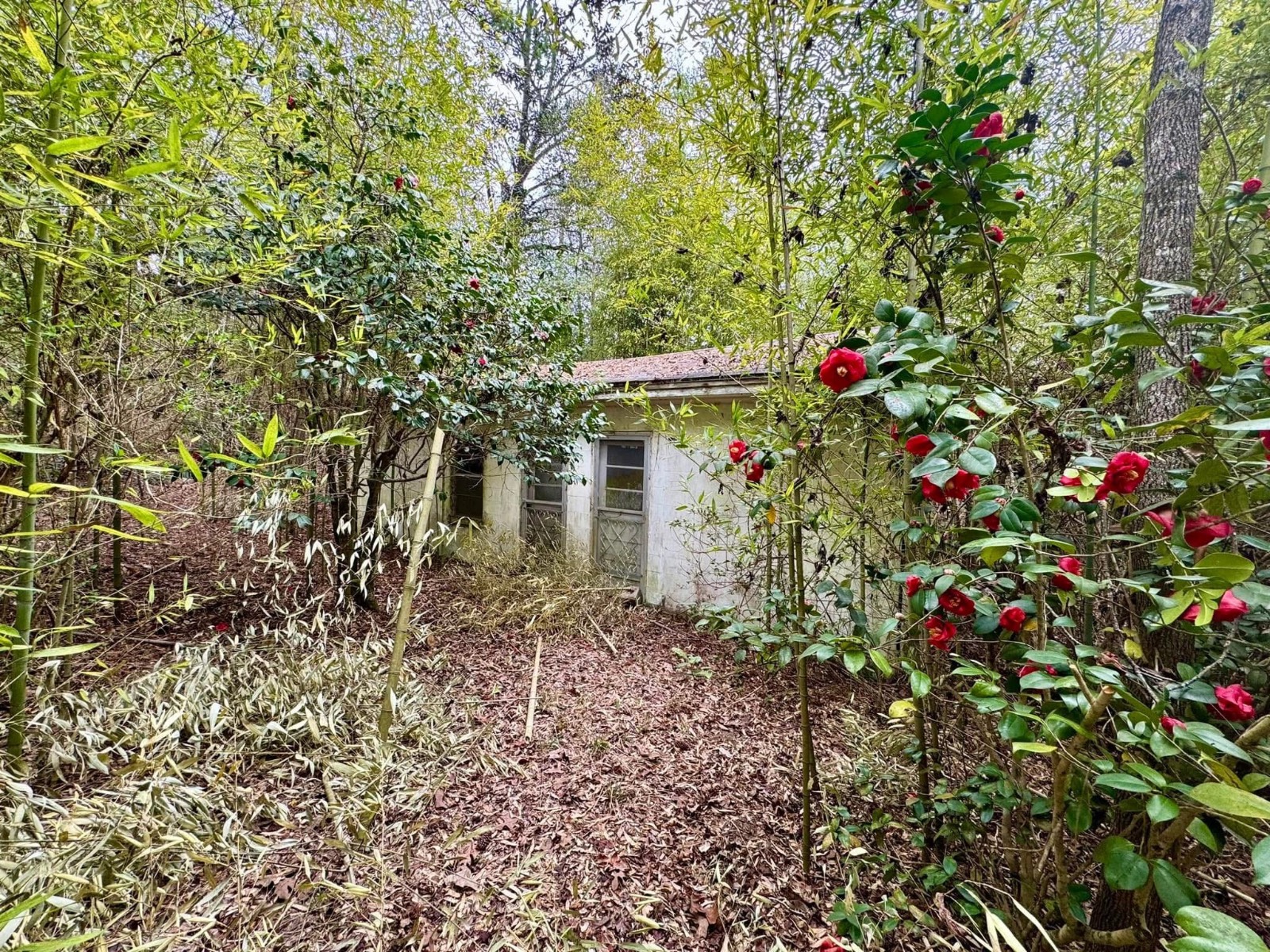 0 Dogwood Drive