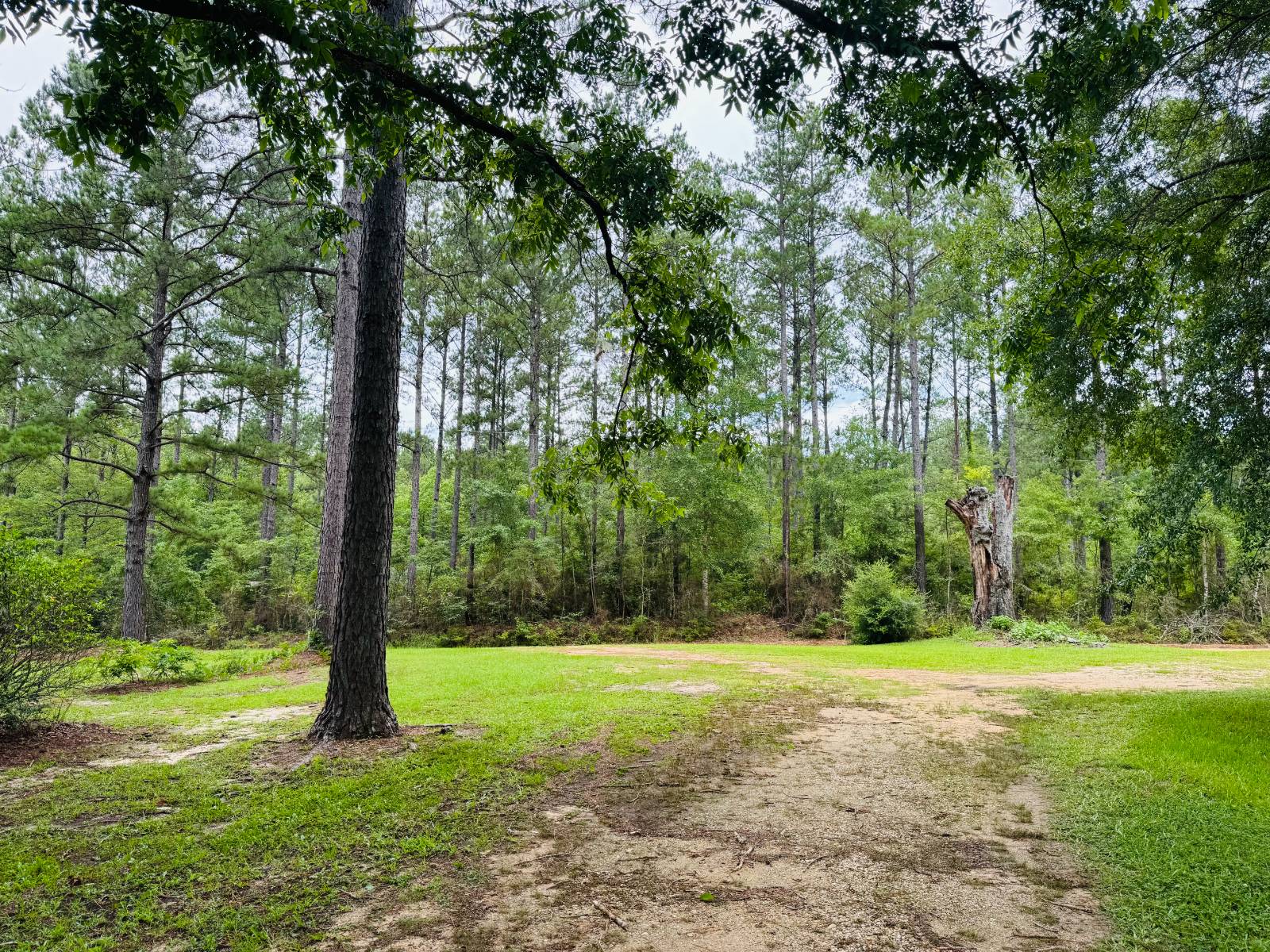 1140 Herman Williams Road