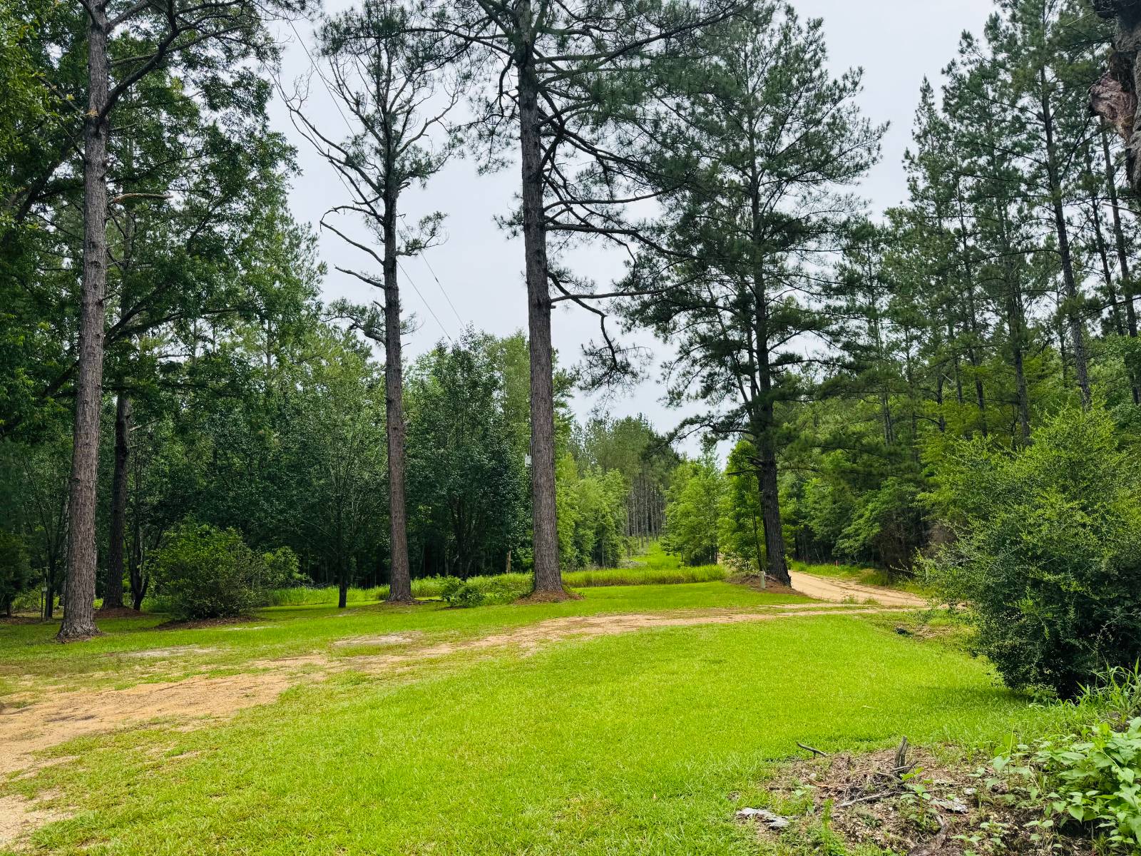 1140 Herman Williams Road