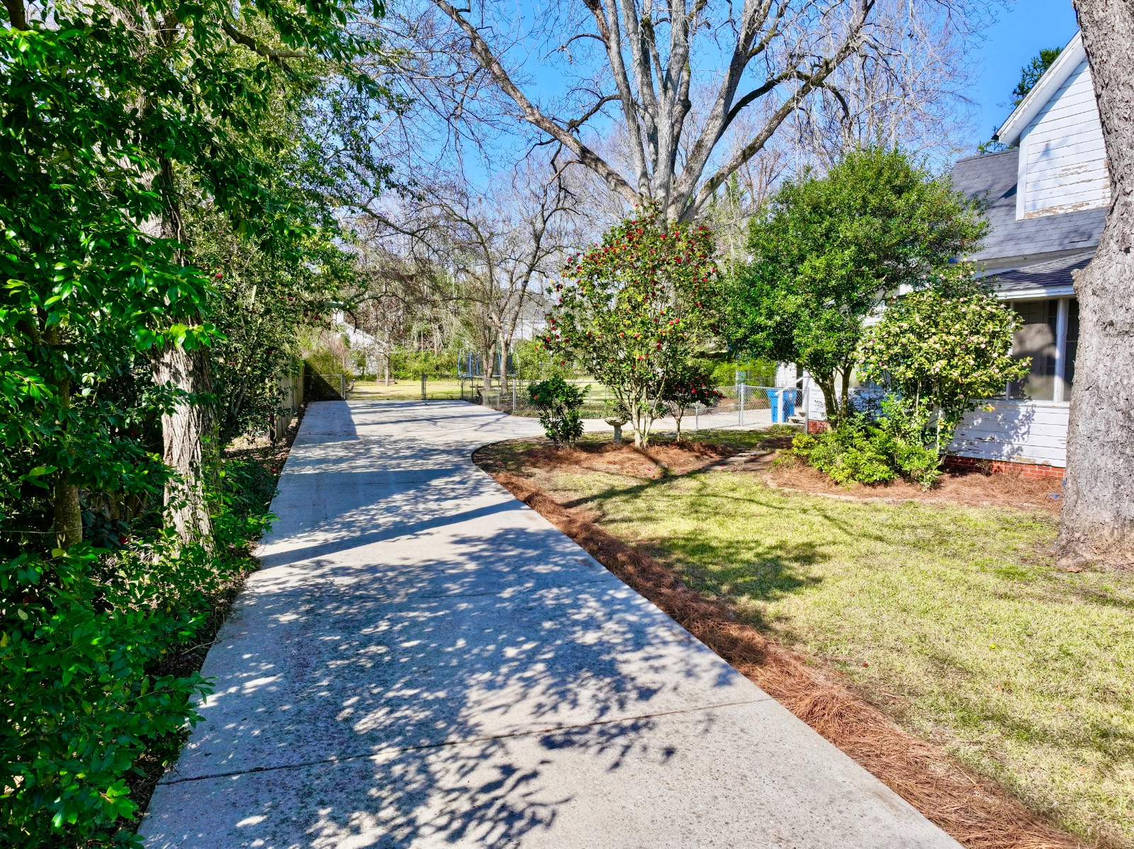 309 College Ave