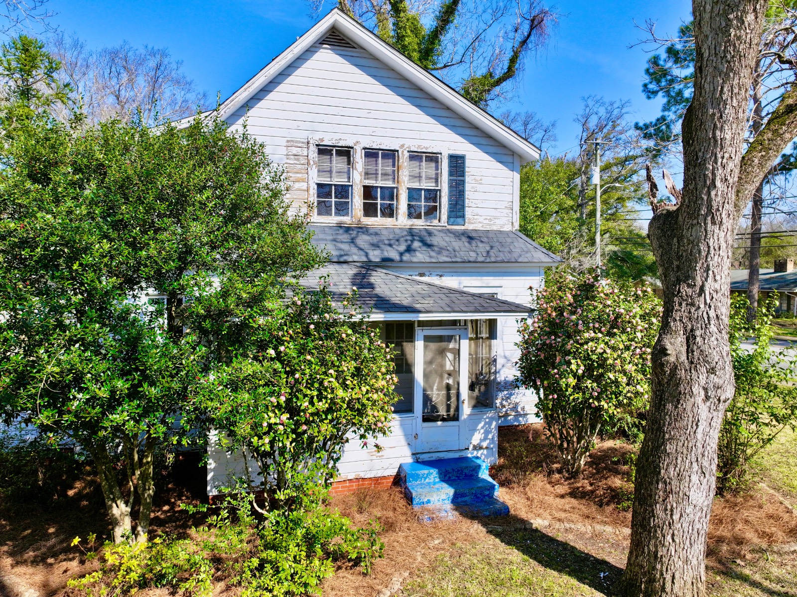 309 College Ave