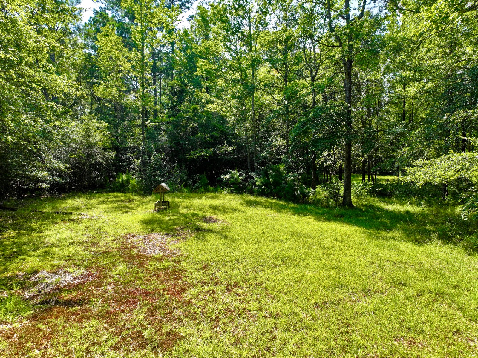 61 Willmoore Circle