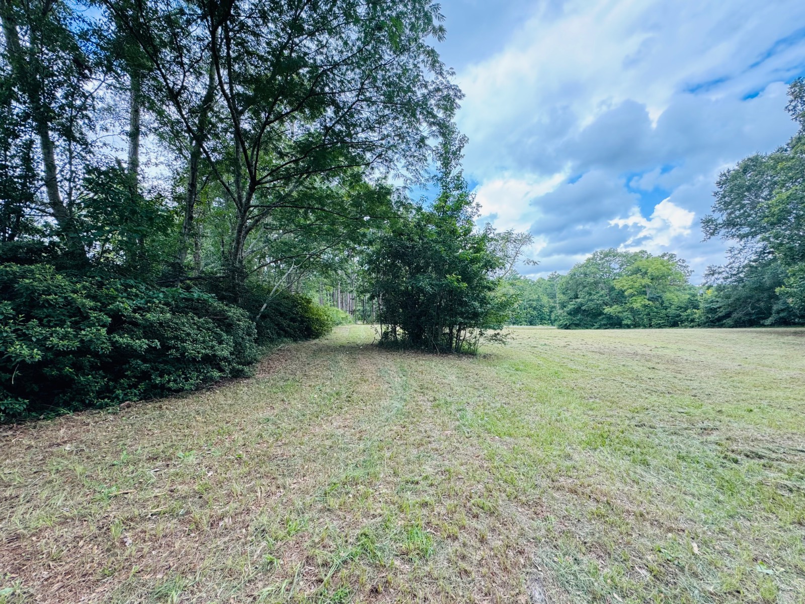 41 Buck Hill Road