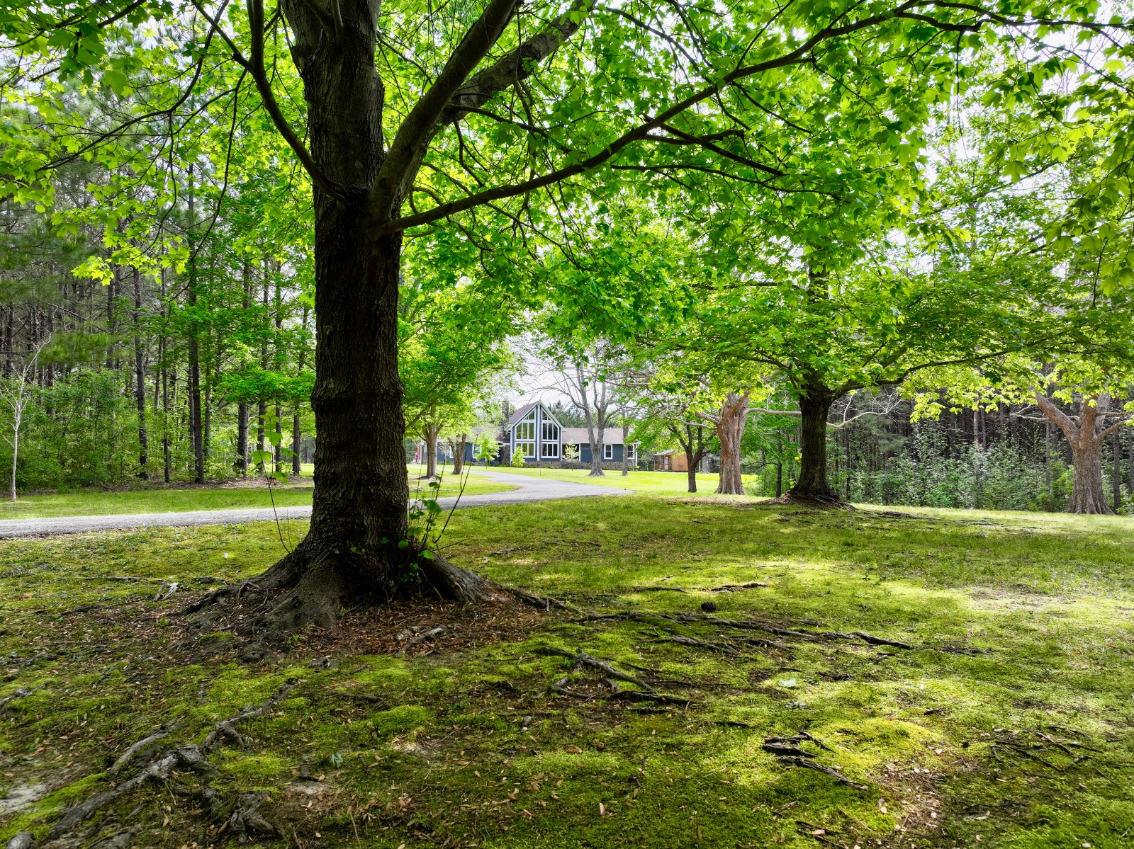 1341 Allen Walker Road