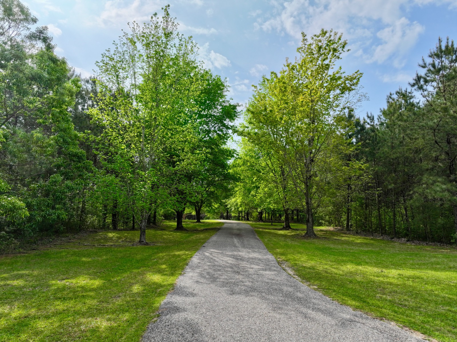 1341 Allen Walker Road
